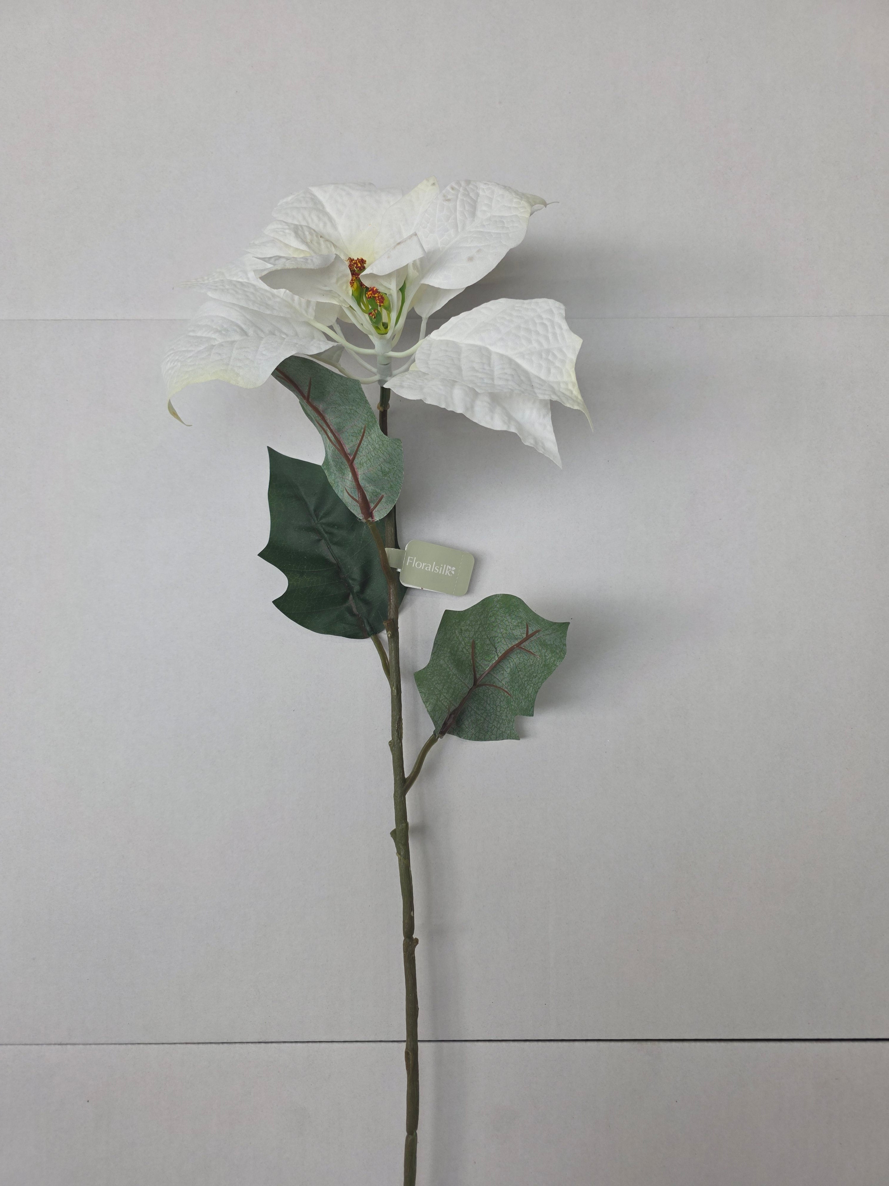 Poinsettia 75cm White (pack of 2)