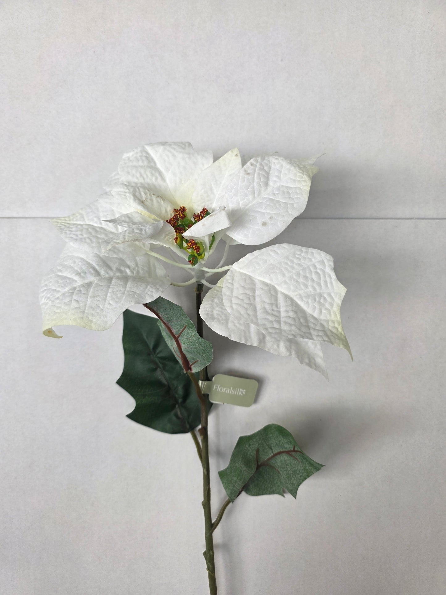 Poinsettia 75cm White (pack of 2)