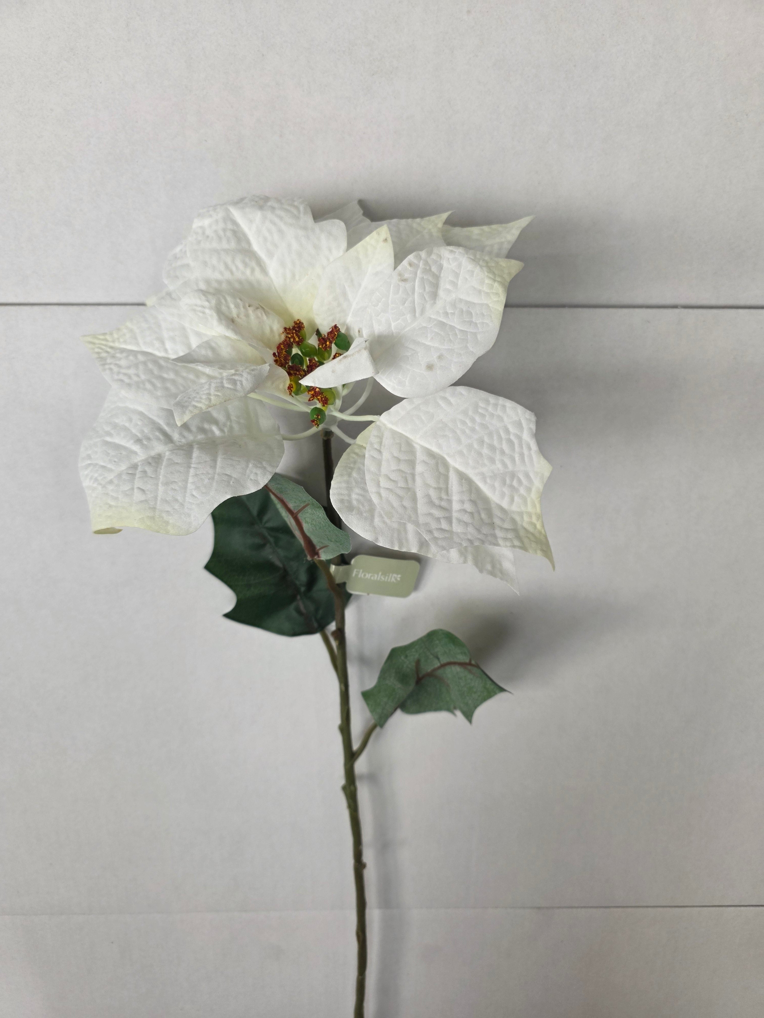 Poinsettia 75cm White (pack of 2)