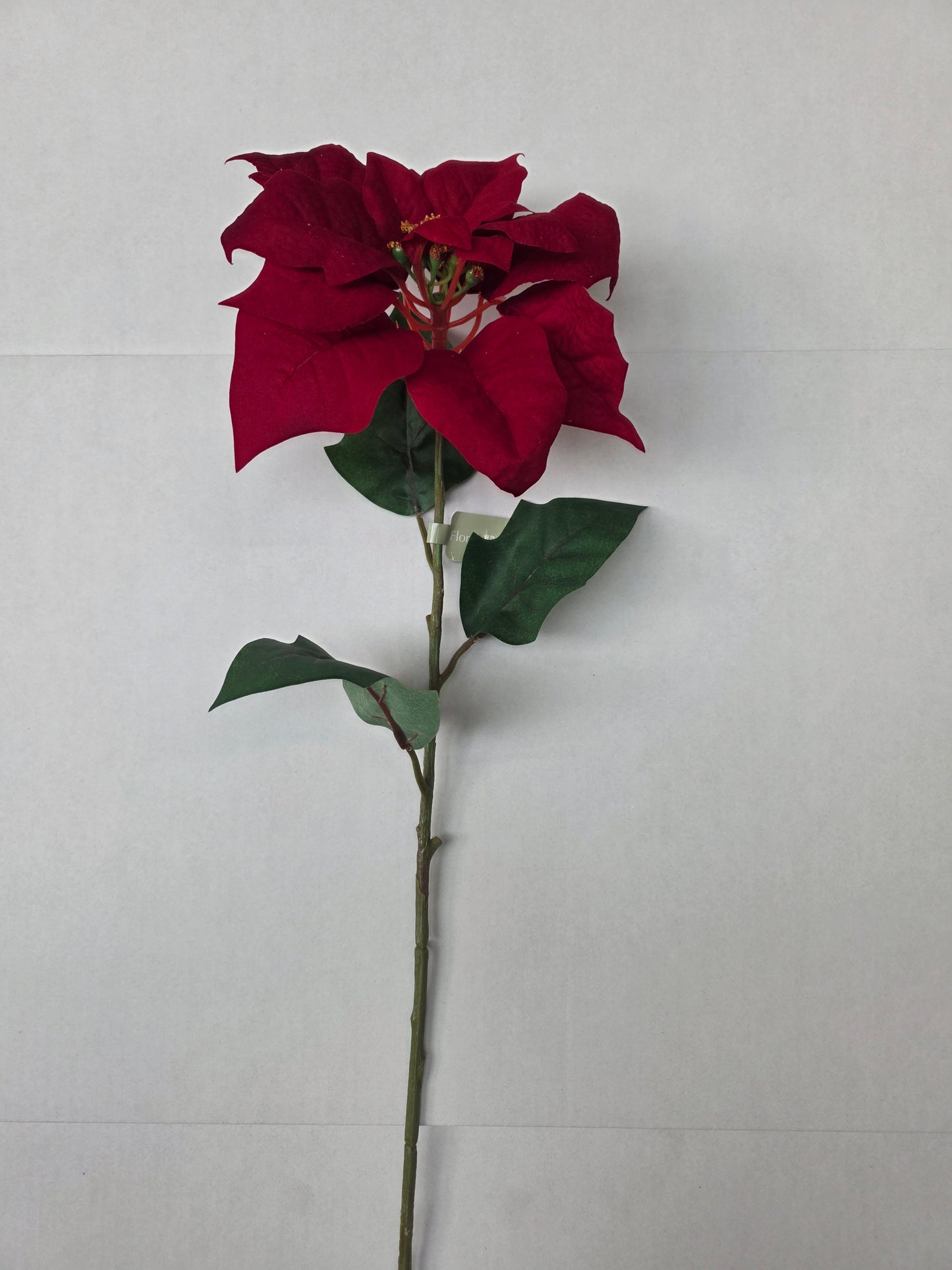 Poinsettia Velvet 75cm Red