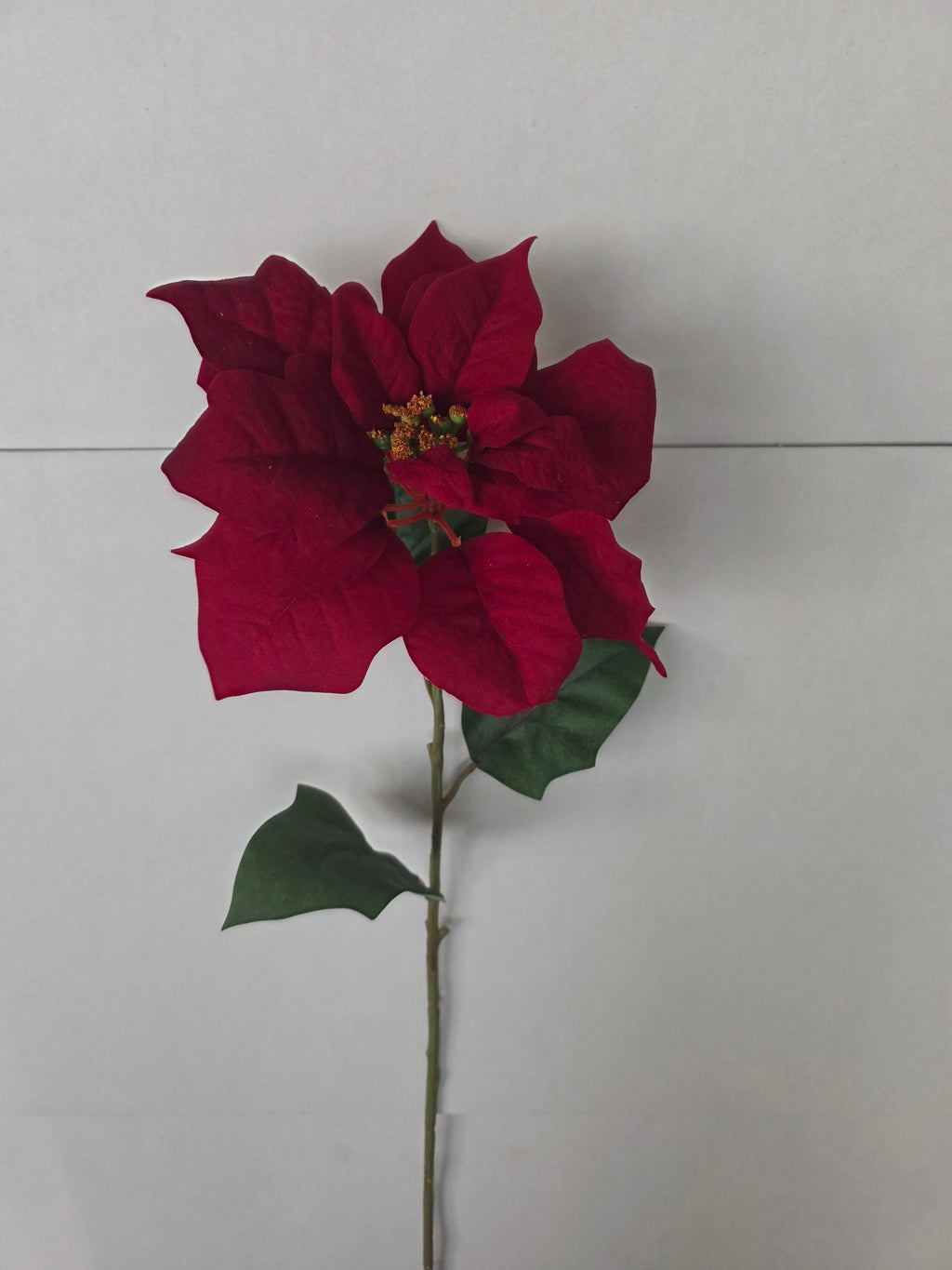 Poinsettia Velvet 75cm Red