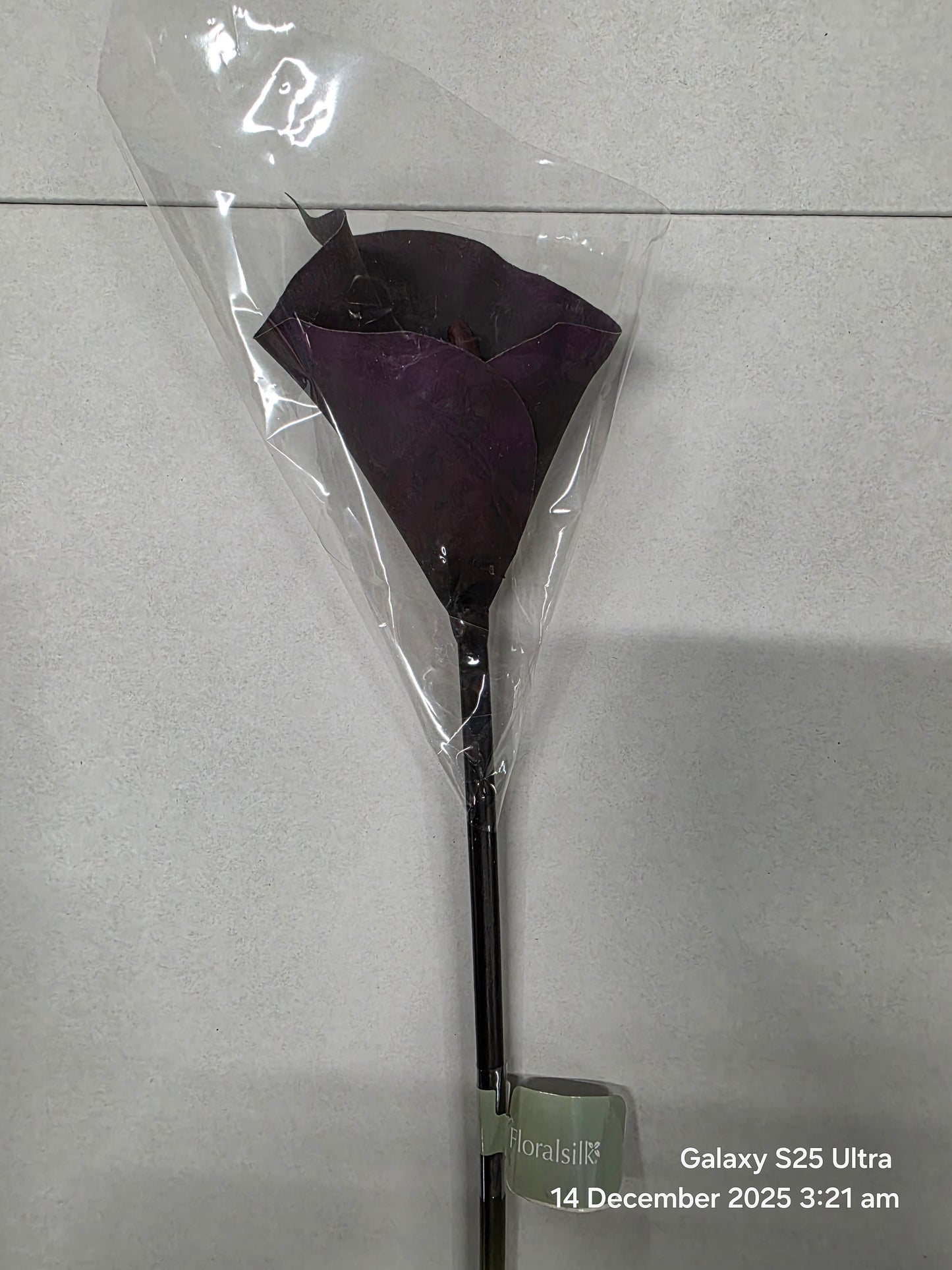 Artificial Calla Lily Aubergine 63cm (PACK OF 2)