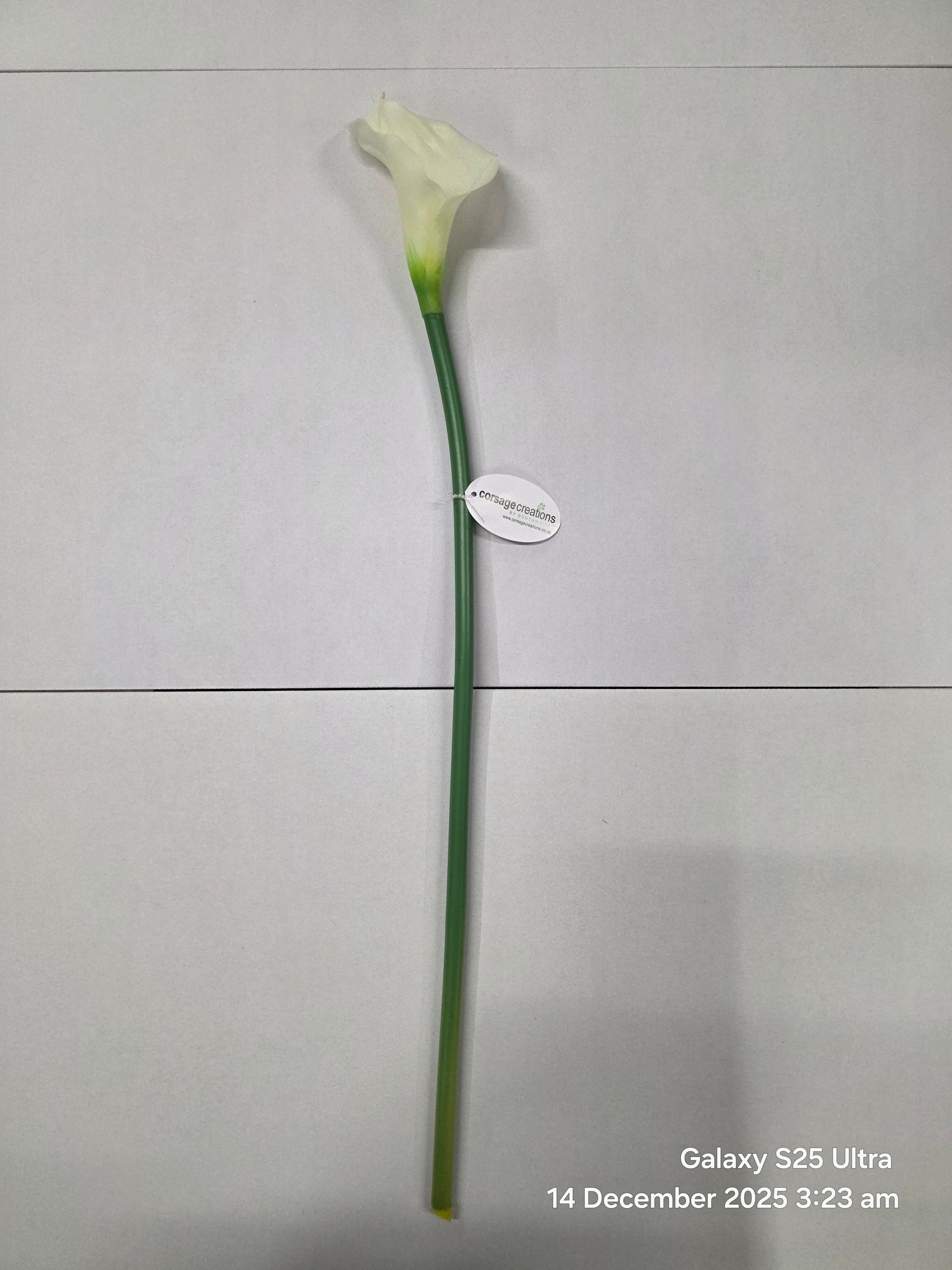 Artificial Calla Lily Cream 68cm (PACK OF 4)