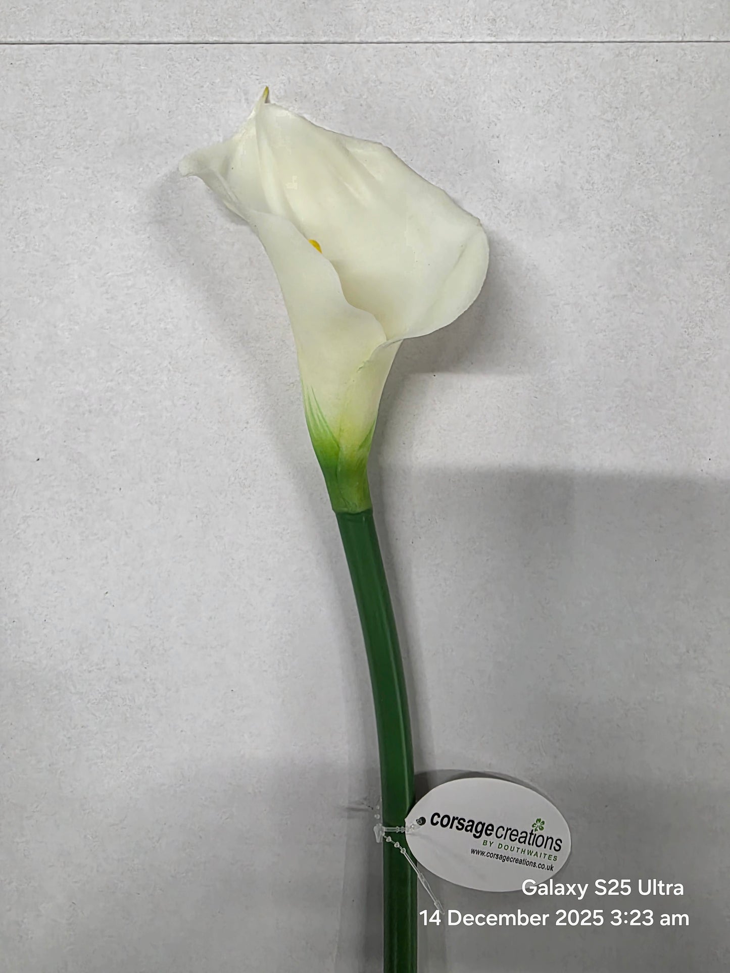 Artificial Calla Lily Cream 68cm (PACK OF 4)