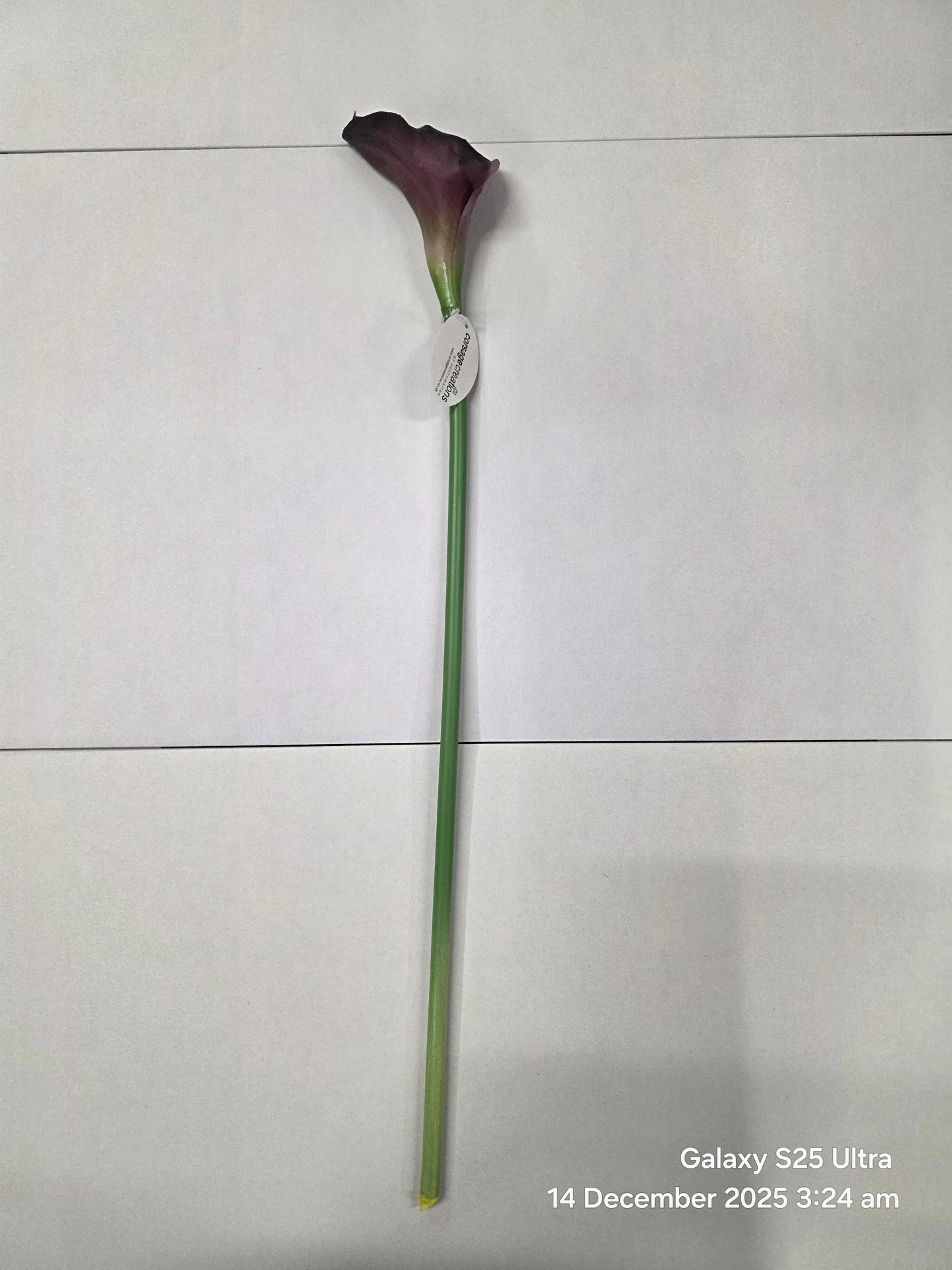 Artificial Calla Lily Dark Purple 68cm (PACK OF 4)