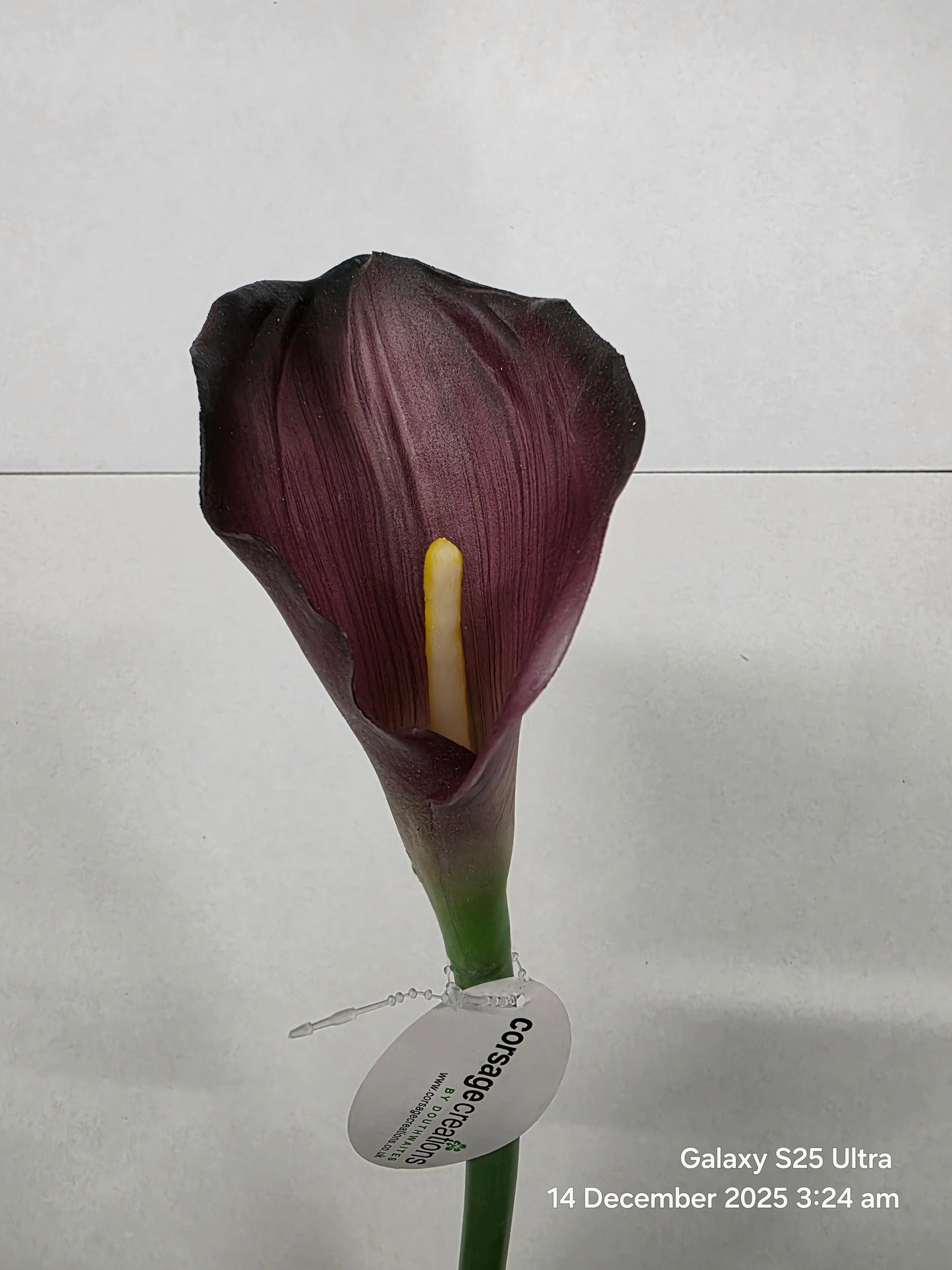 Artificial Calla Lily Dark Purple 68cm (PACK OF 4)