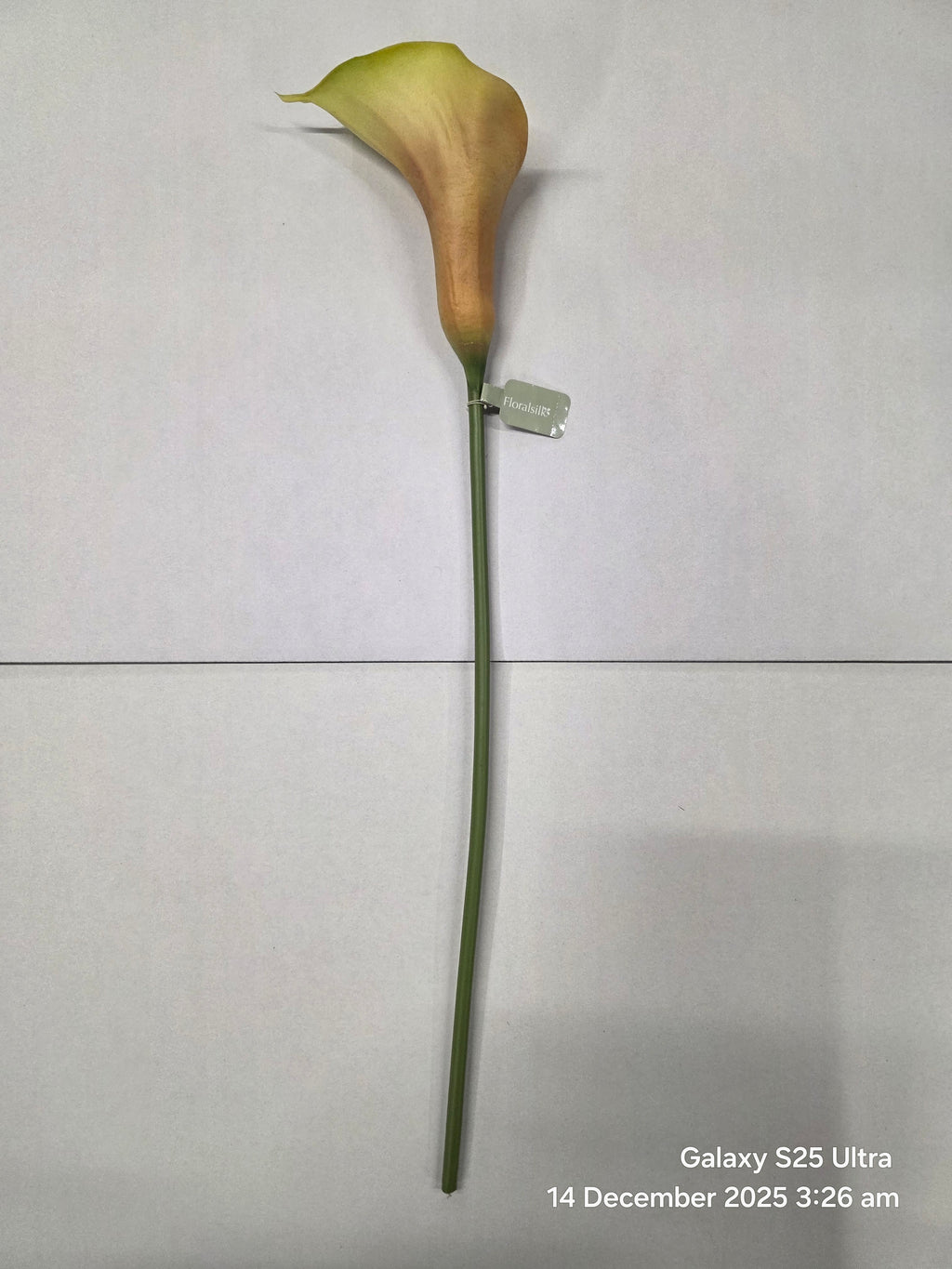 Artificial Curly Calla Mauve (PACK OF 2)