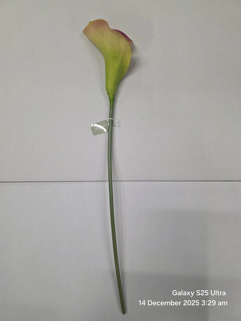 Artificial Curly Calla Purple (PACK OF 2)