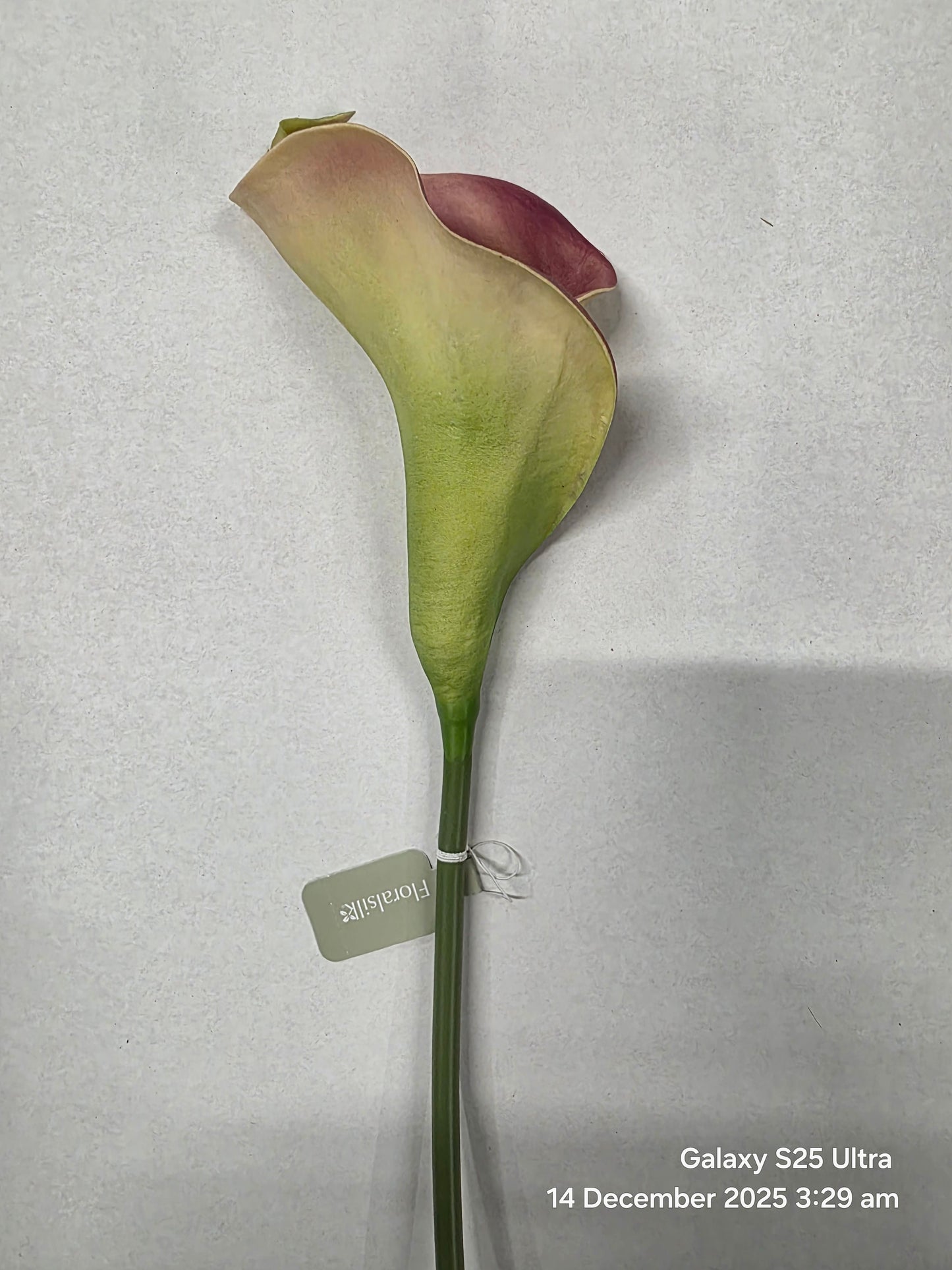 Artificial Curly Calla Purple (PACK OF 2)