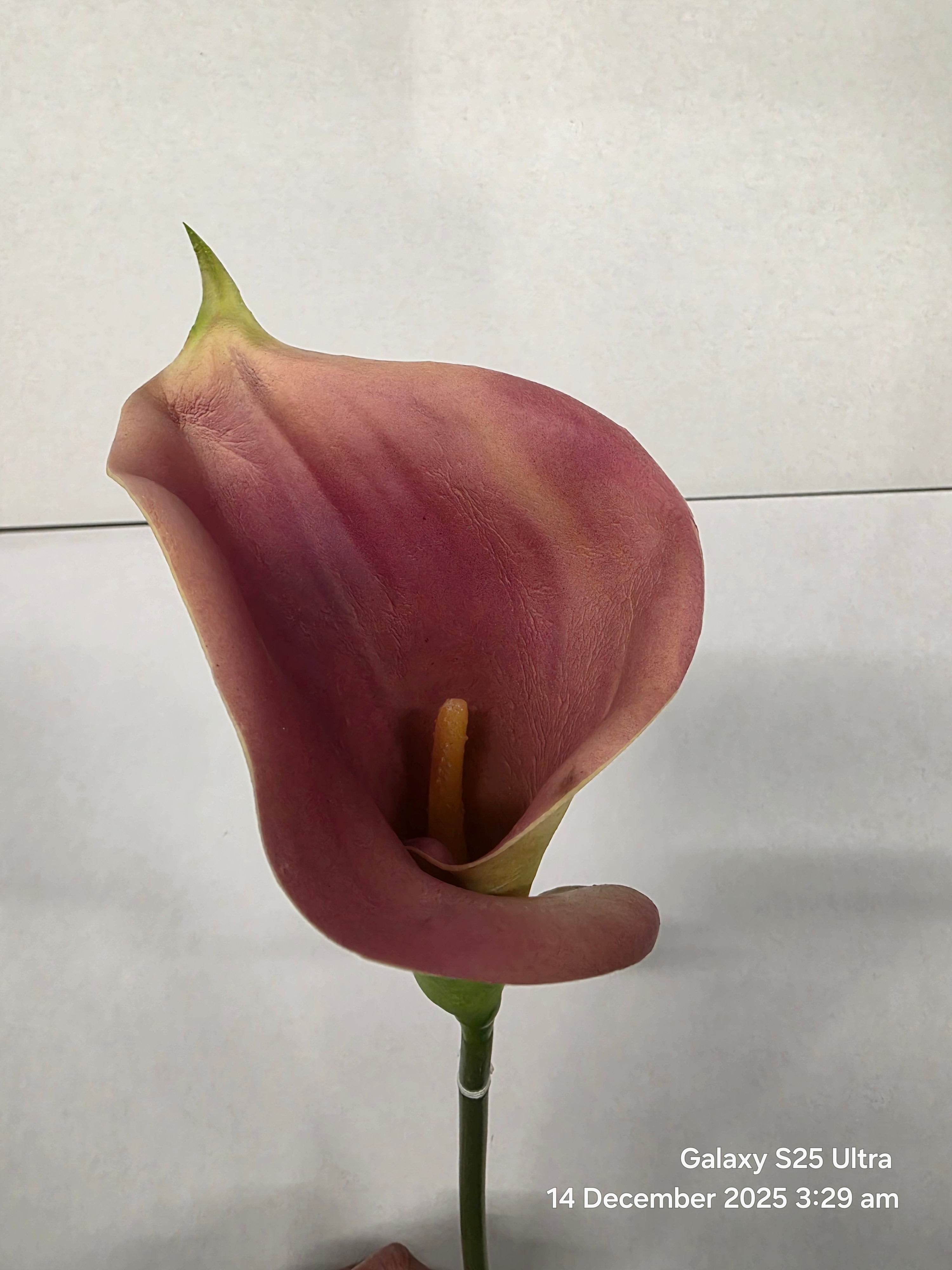 Artificial Curly Calla Purple (PACK OF 2)