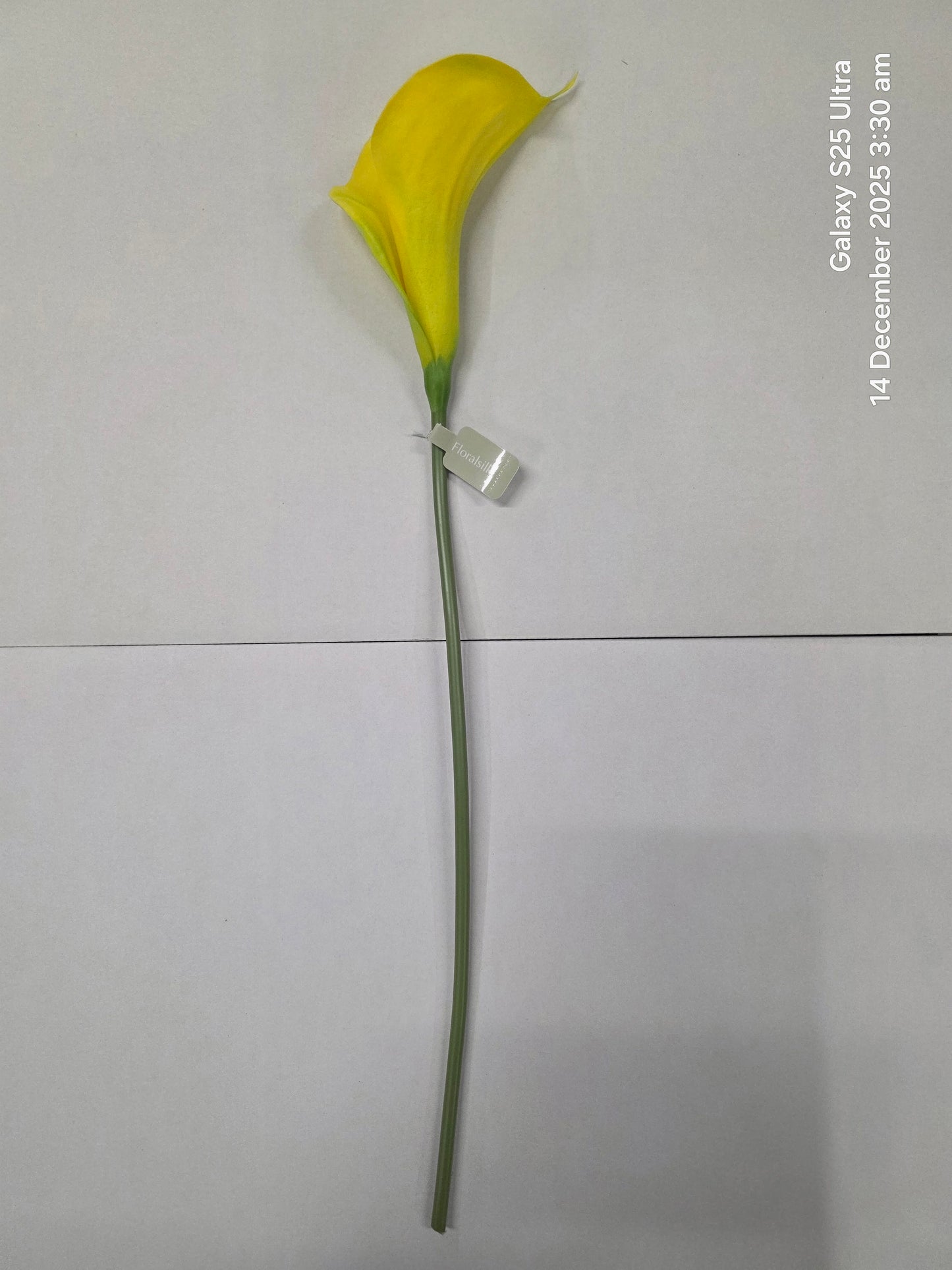 Artificial Curly Calla Yellow (PACK OF 2)