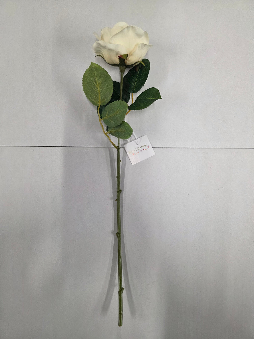 Artificial Balmoral Old Garden Rose Cream (PACK OF 2)
