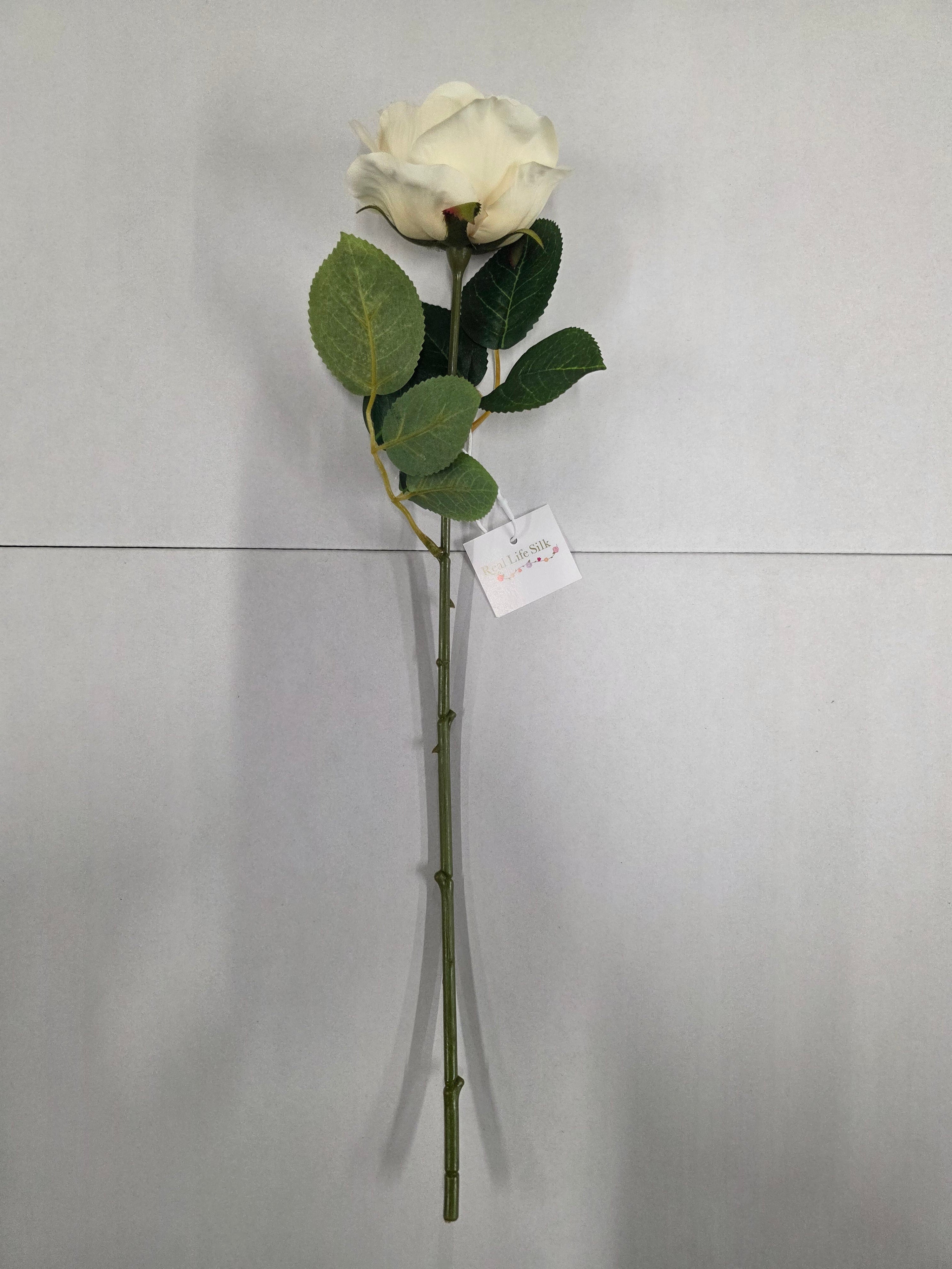 Artificial Balmoral Old Garden Rose Cream (PACK OF 2)