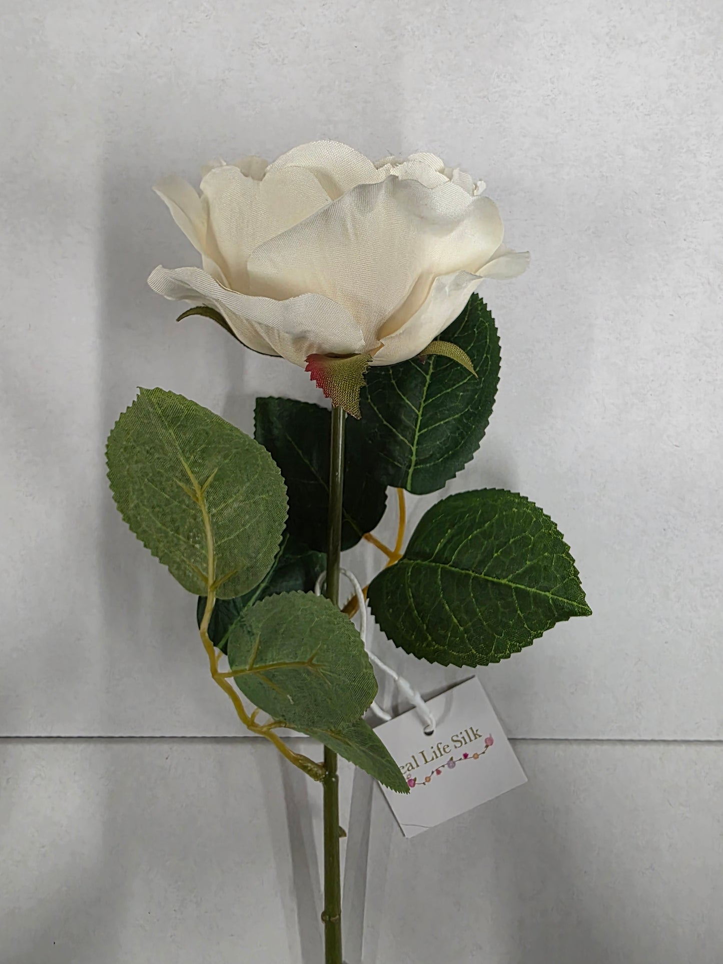 Artificial Balmoral Old Garden Rose Cream (PACK OF 2)