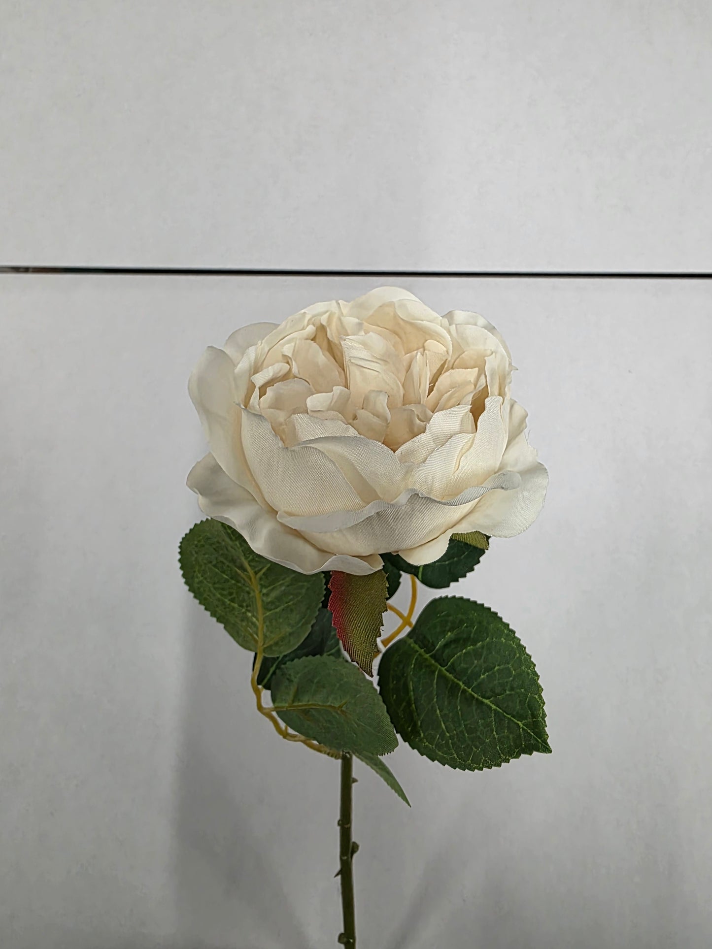 Artificial Balmoral Old Garden Rose Cream (PACK OF 2)