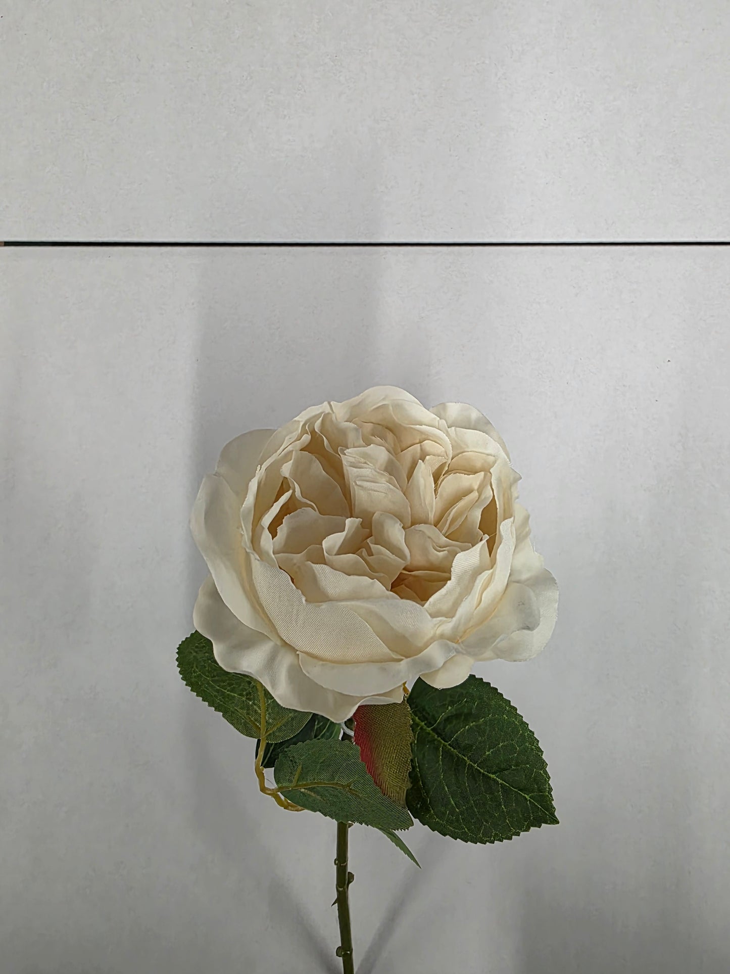 Artificial Balmoral Old Garden Rose Cream (PACK OF 2)