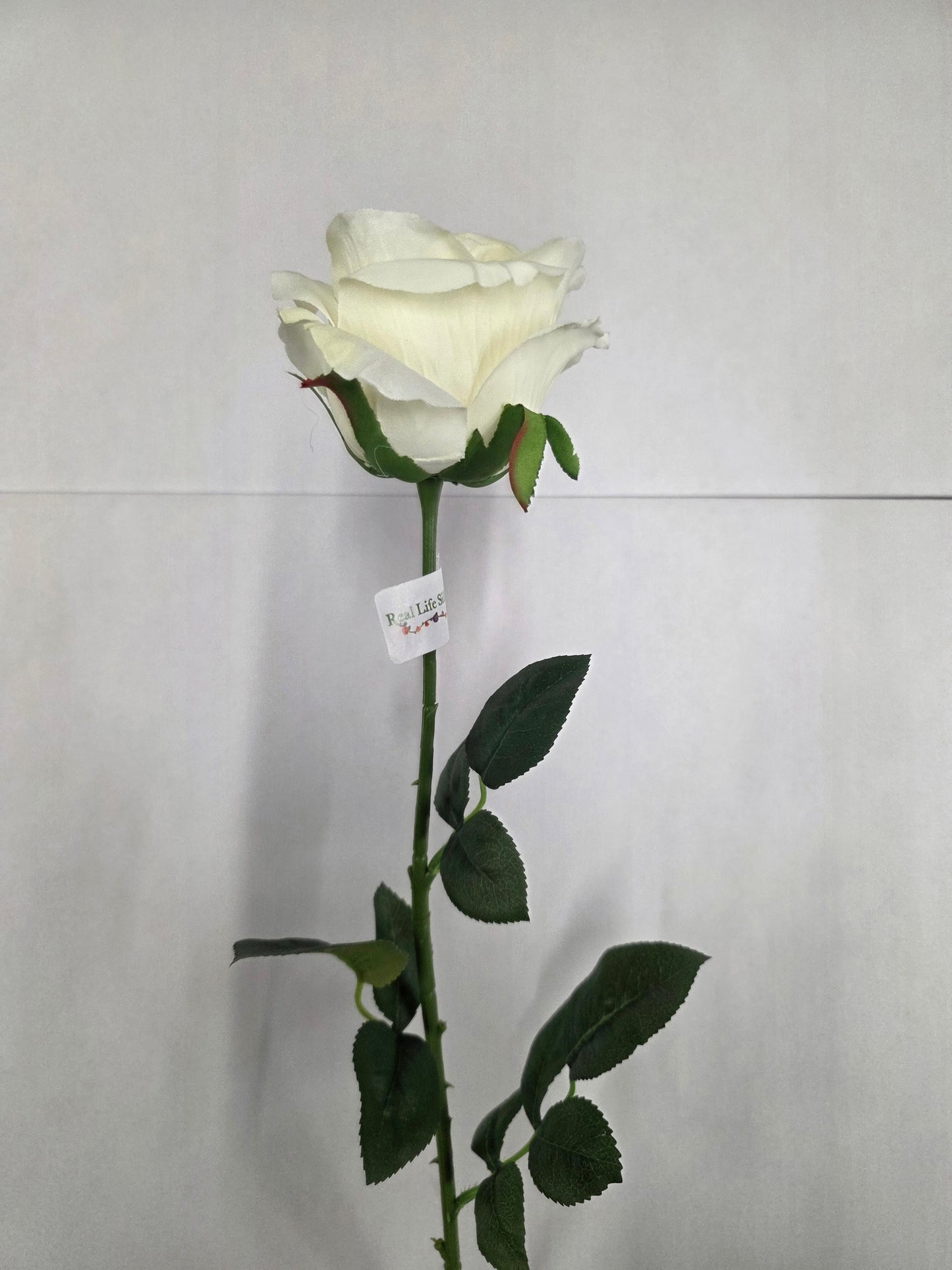 Artificial Camelot Open Rose Small Bridal Ivory (PACK OF 2)