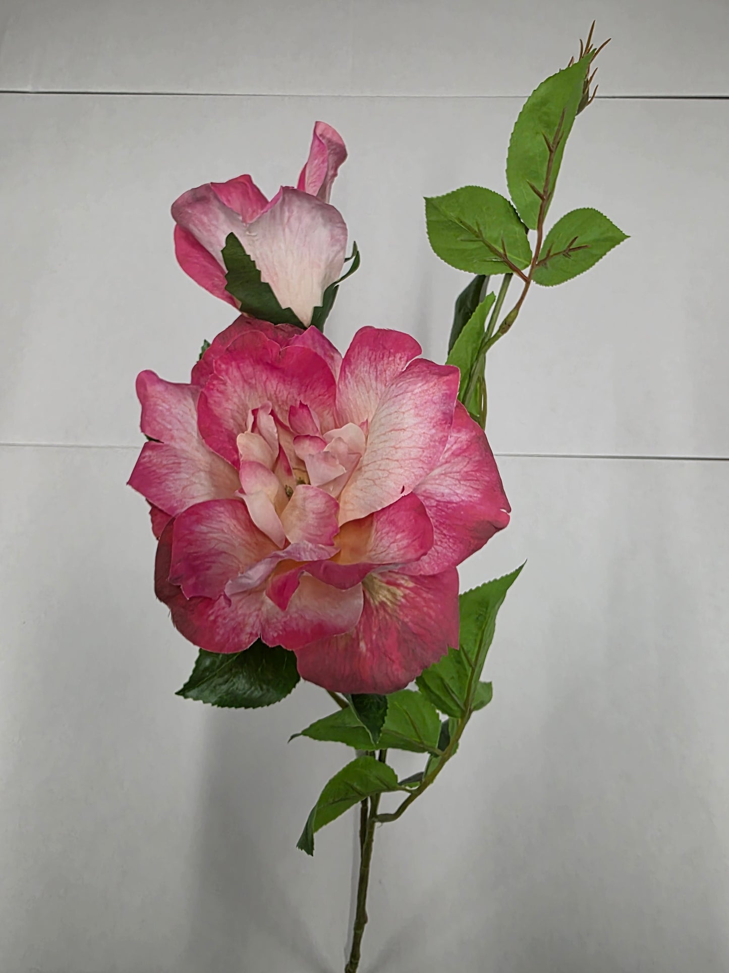Artificial Charlotte Rose Spray Fuchsia