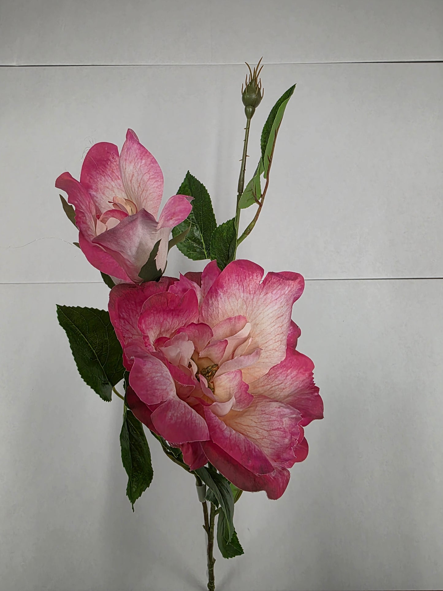 Artificial Charlotte Rose Spray Fuchsia