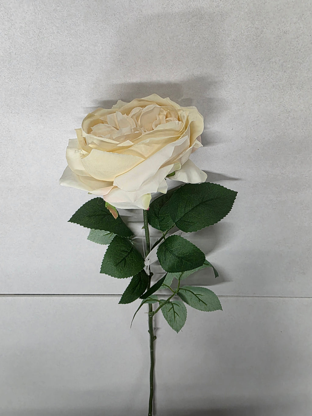 Artificial Garden Rose Cream(PACK OF 2)