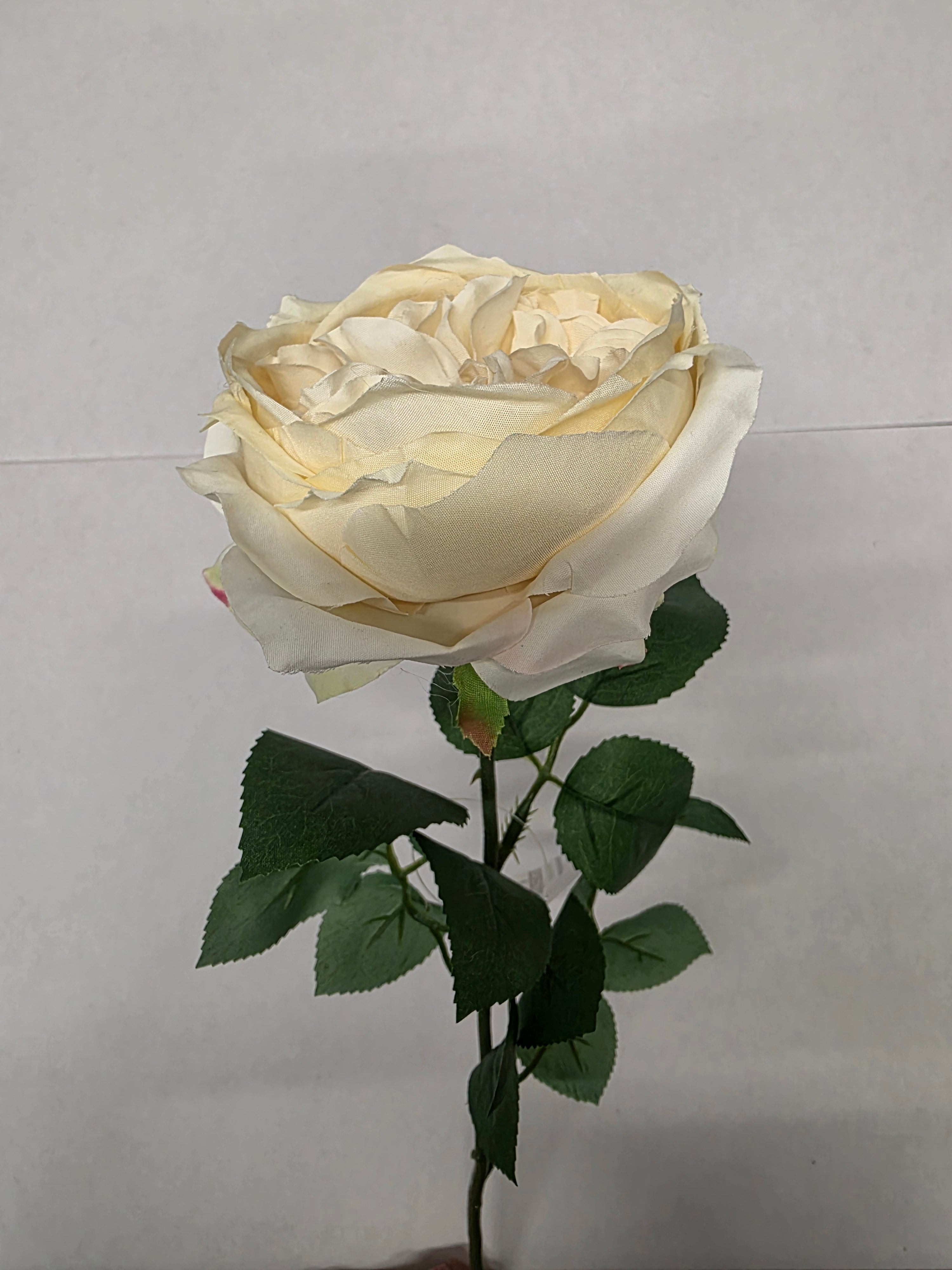 Artificial Garden Rose Cream(PACK OF 2)