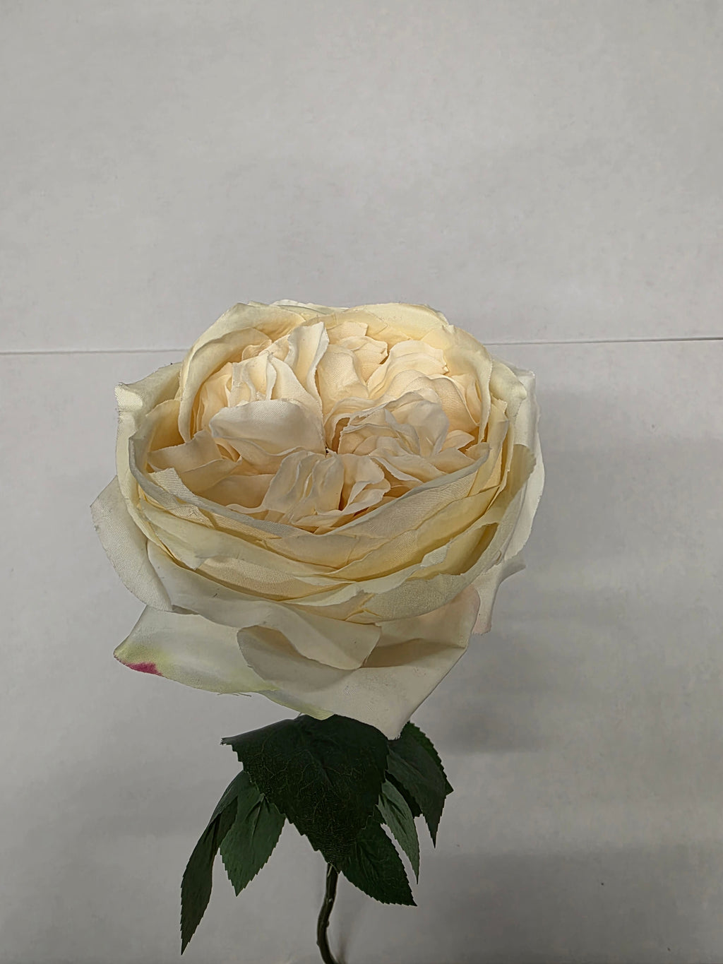 Artificial Garden Rose Cream(PACK OF 2)