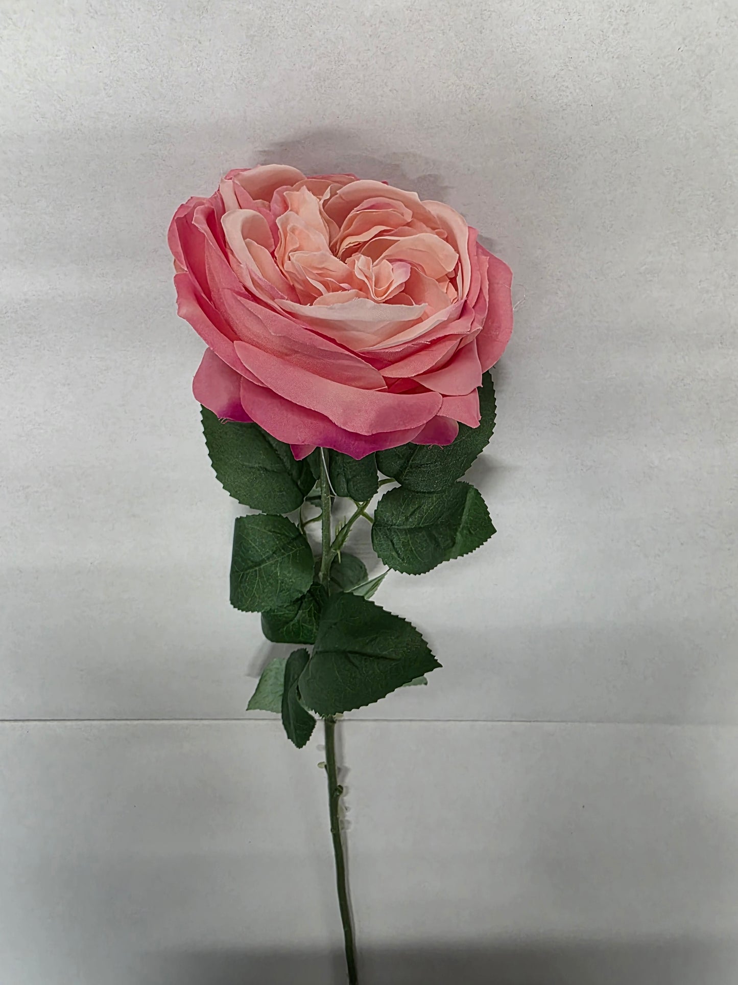 Artificial Lydia Cabbage Rose Spray Peach (PACK OF 2)