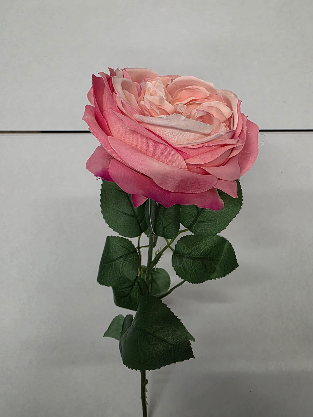 Artificial Garden Rose Hot Pink (PACK OF 2)