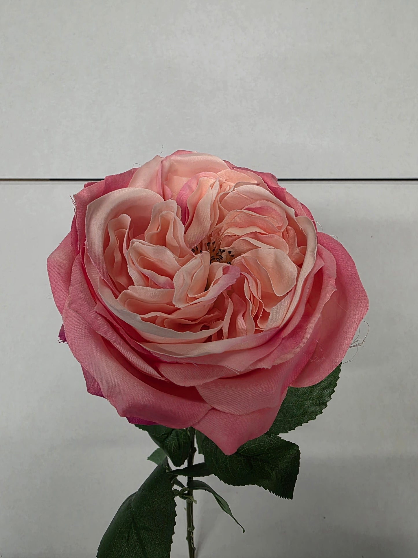 Artificial Lydia Cabbage Rose Spray Peach (PACK OF 2)