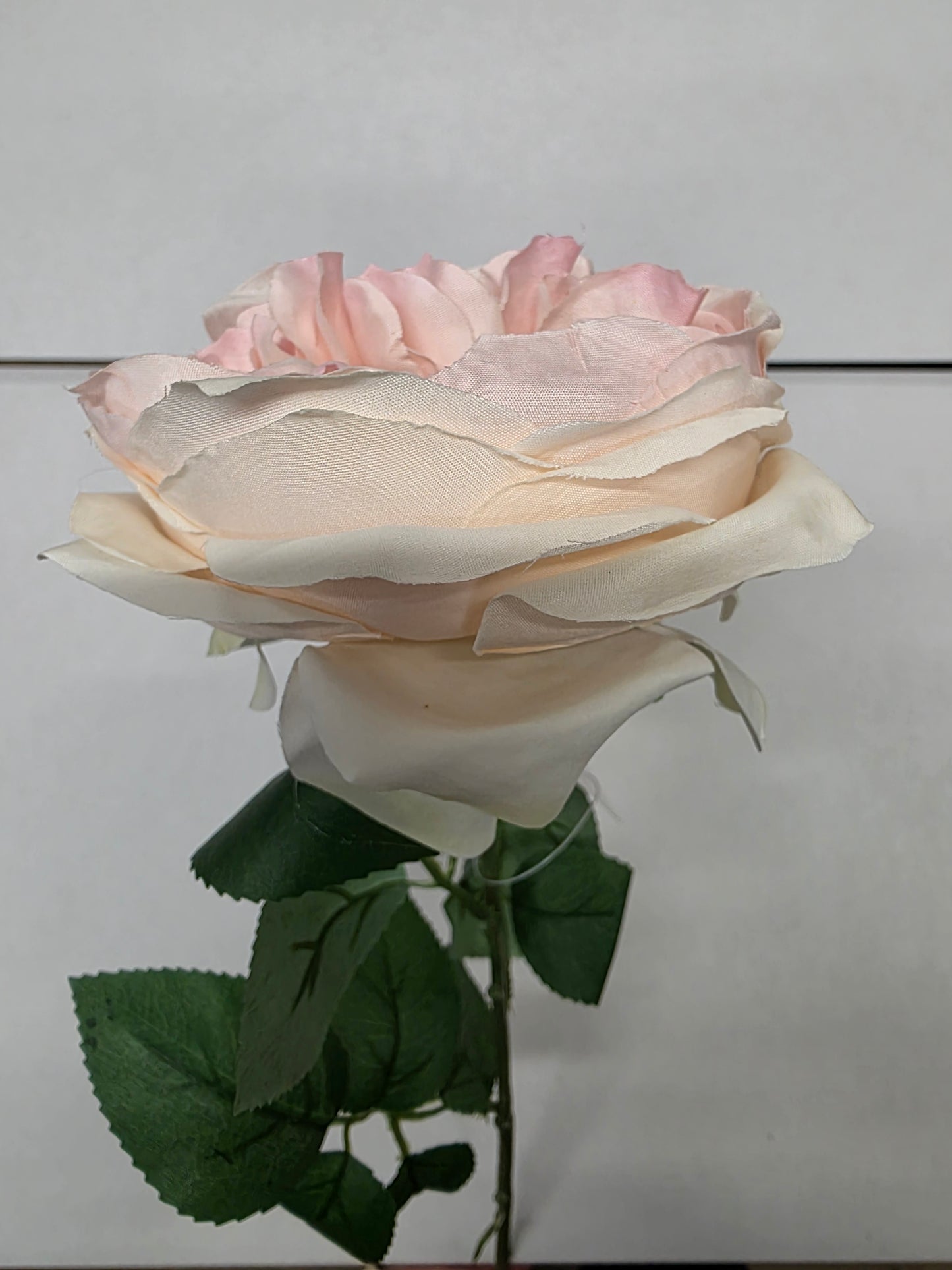 Artificial Lydia Cabbage Rose Spray Peach (PACK OF 2)