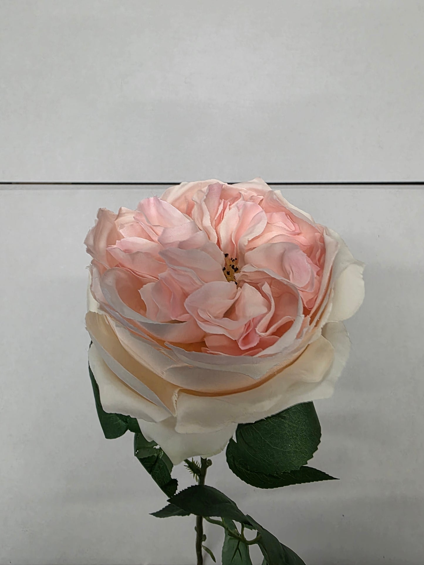 Artificial Lydia Cabbage Rose Spray Peach (PACK OF 2)