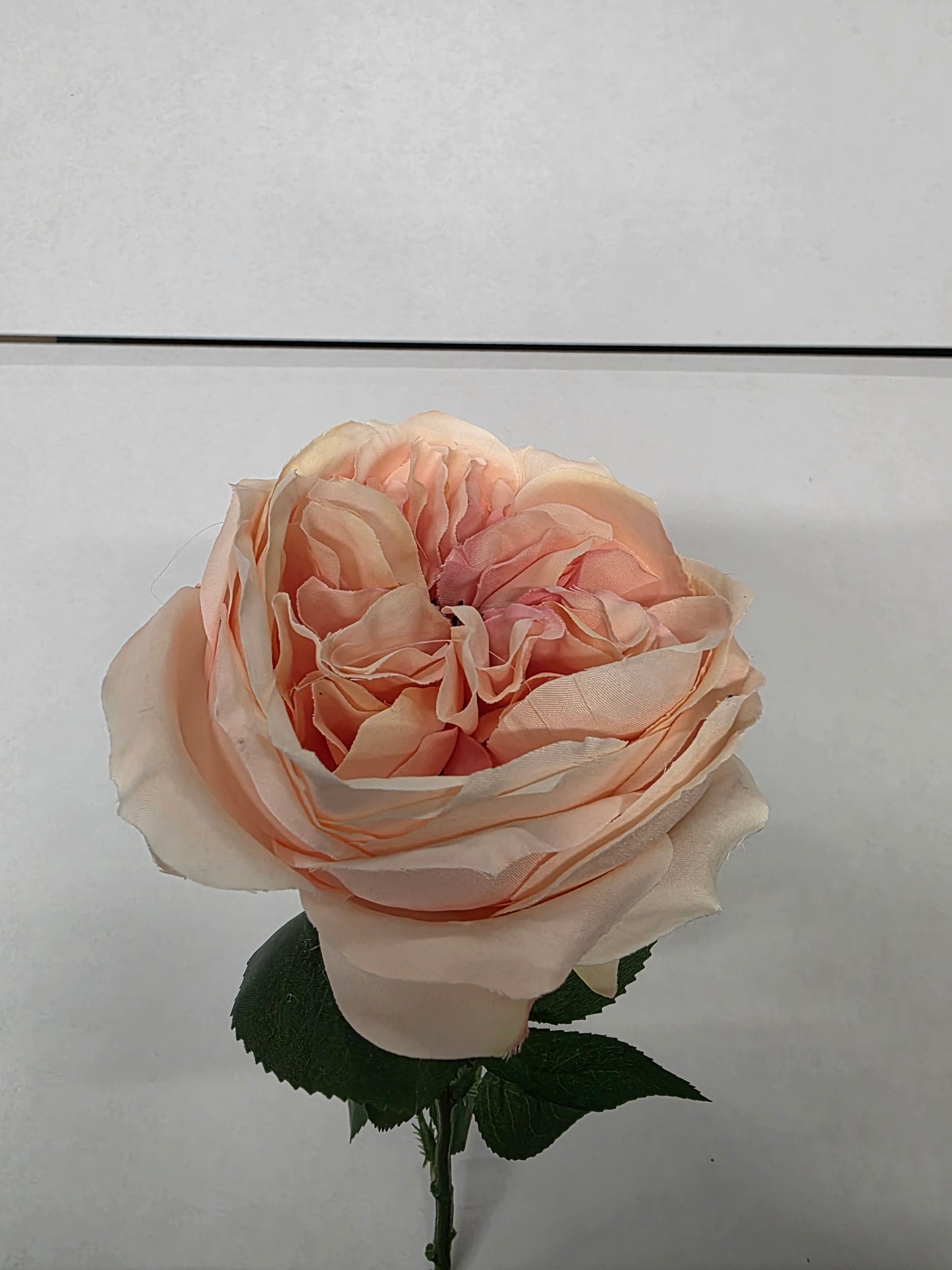 Artificial Lydia Cabbage Rose Spray Peach (PACK OF 2)