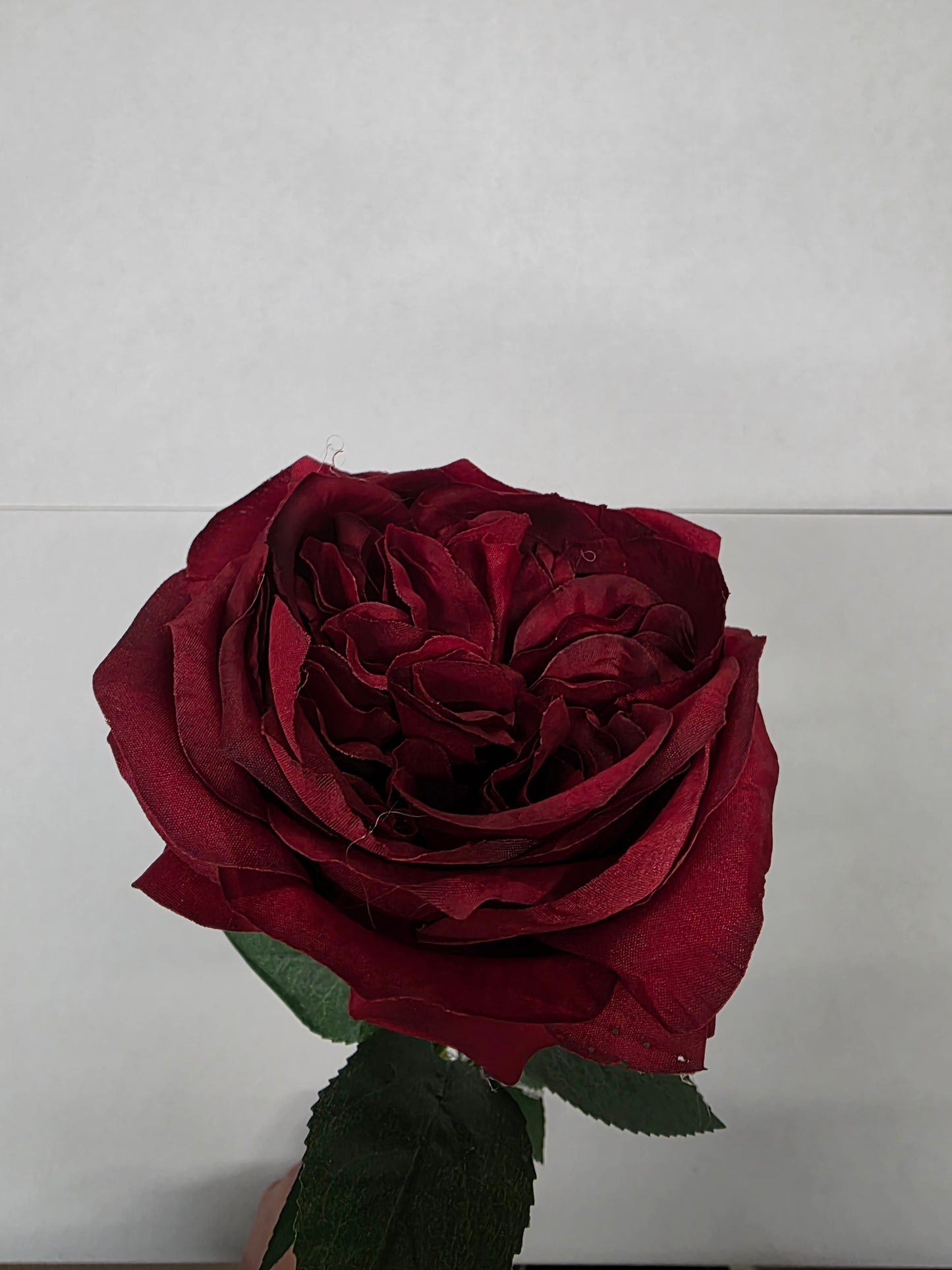 Artificial Garden Rose Red (PACK OF 2)