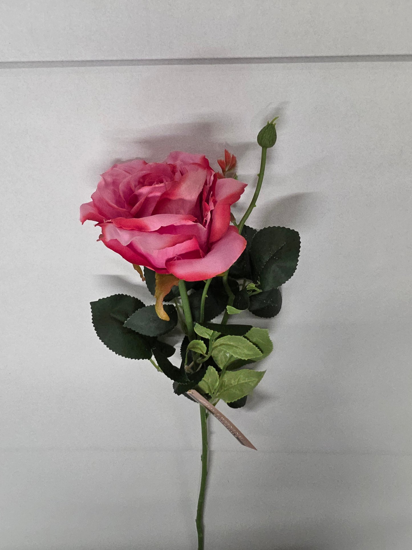 Artificial Ireland Rose Fuchsia 66cm (PACK OF 2)