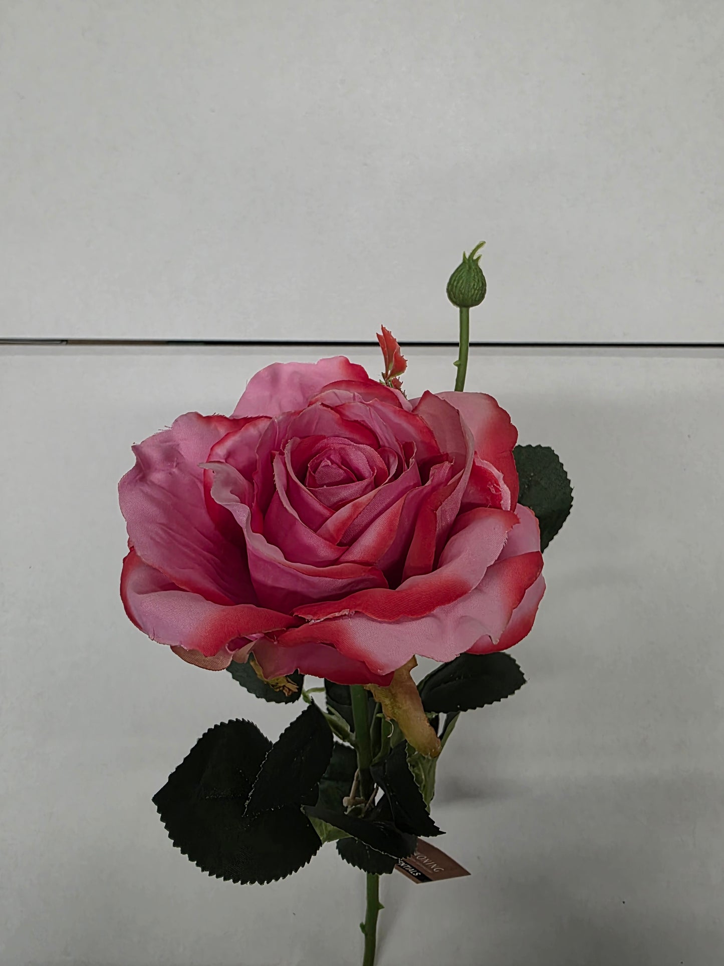 Artificial Ireland Rose Fuchsia 66cm (PACK OF 2)