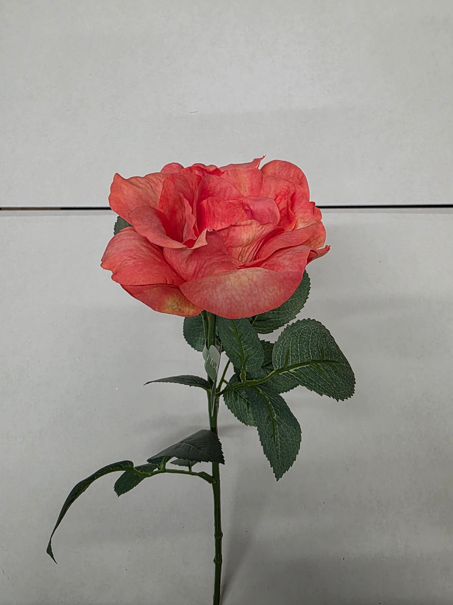 Artificial Rose Garden Emma Coral (PACK OF 2)