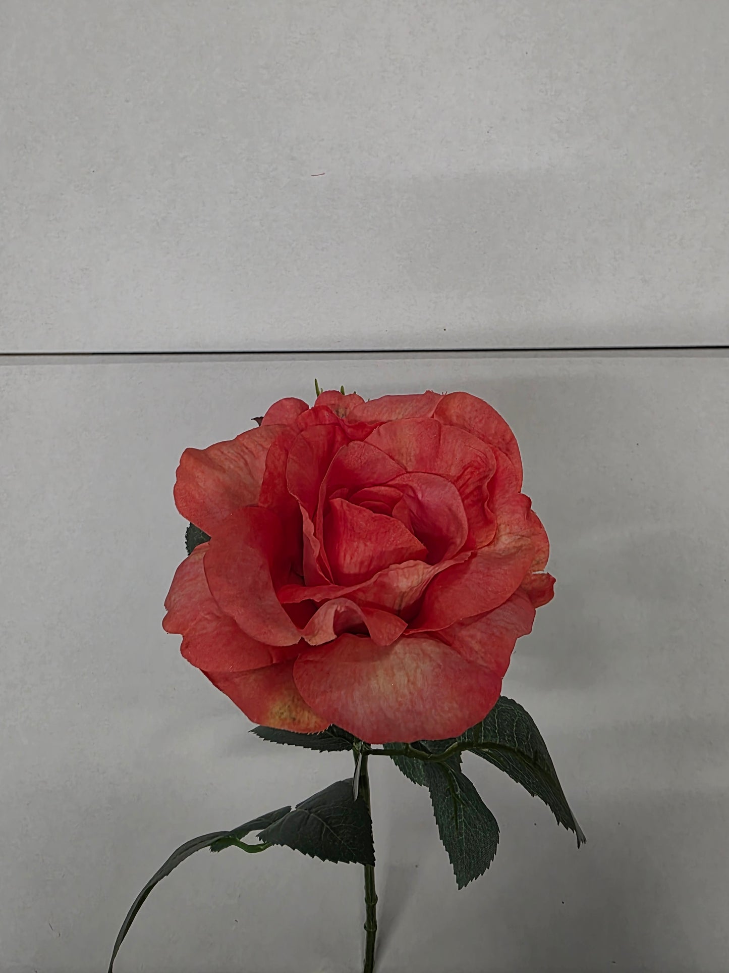 Artificial Rose Garden Emma Coral (PACK OF 2)