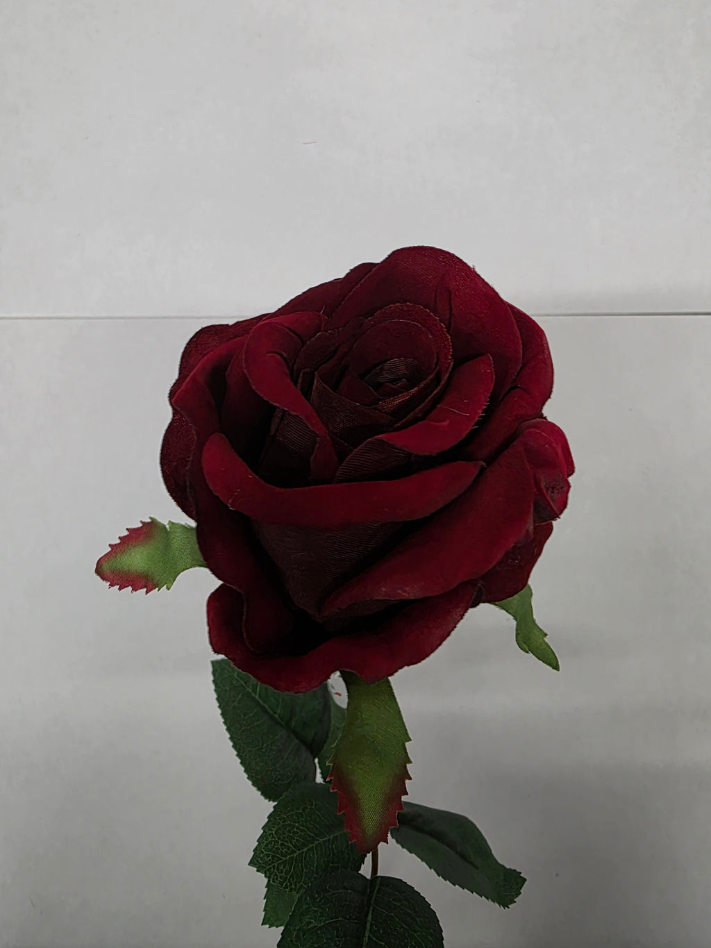 Artificial Rose Large velvet Red 67cm (PACK OF 2)