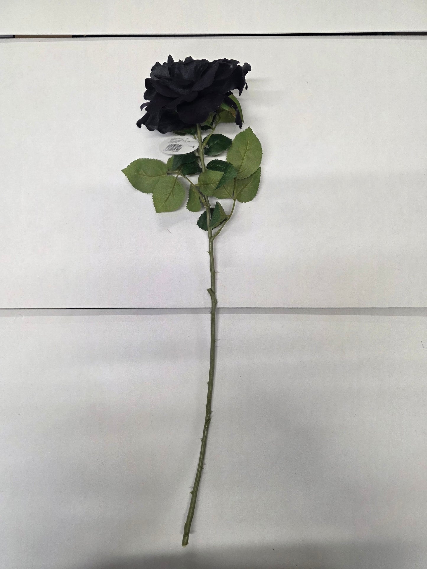Artificial Rose Velvet Black 75cm (PACK OF 2)