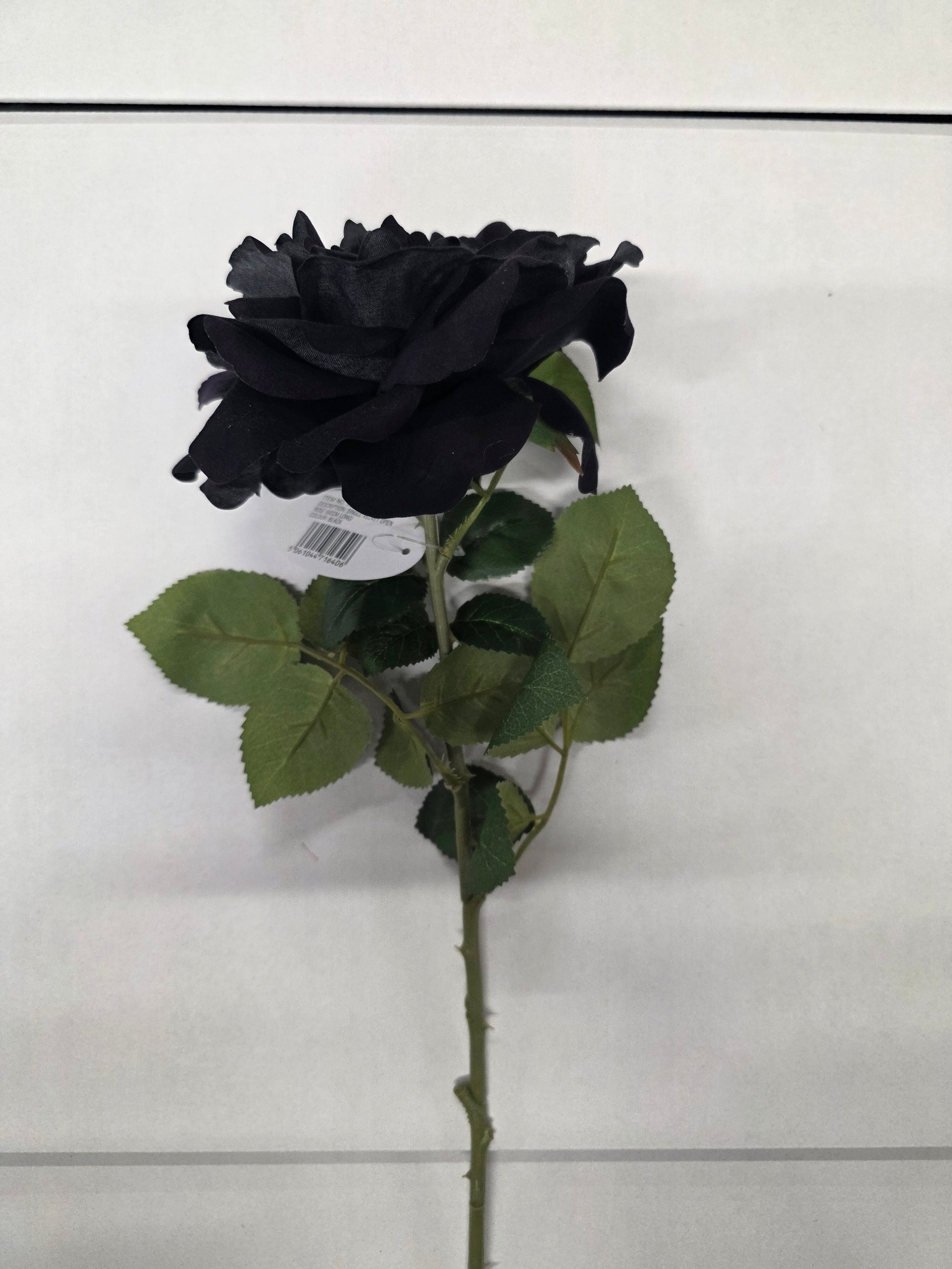 Artificial Rose Velvet Black 75cm (PACK OF 2)