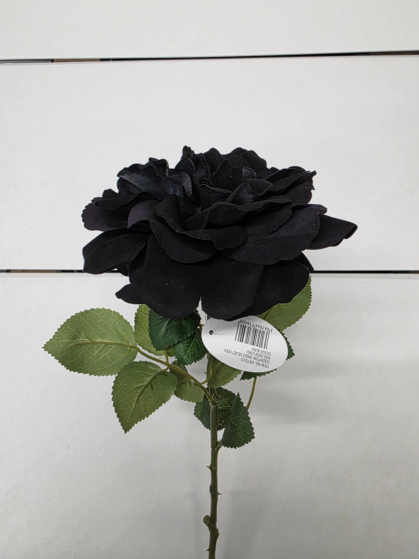 Artificial Rose Velvet Black 75cm (PACK OF 2)