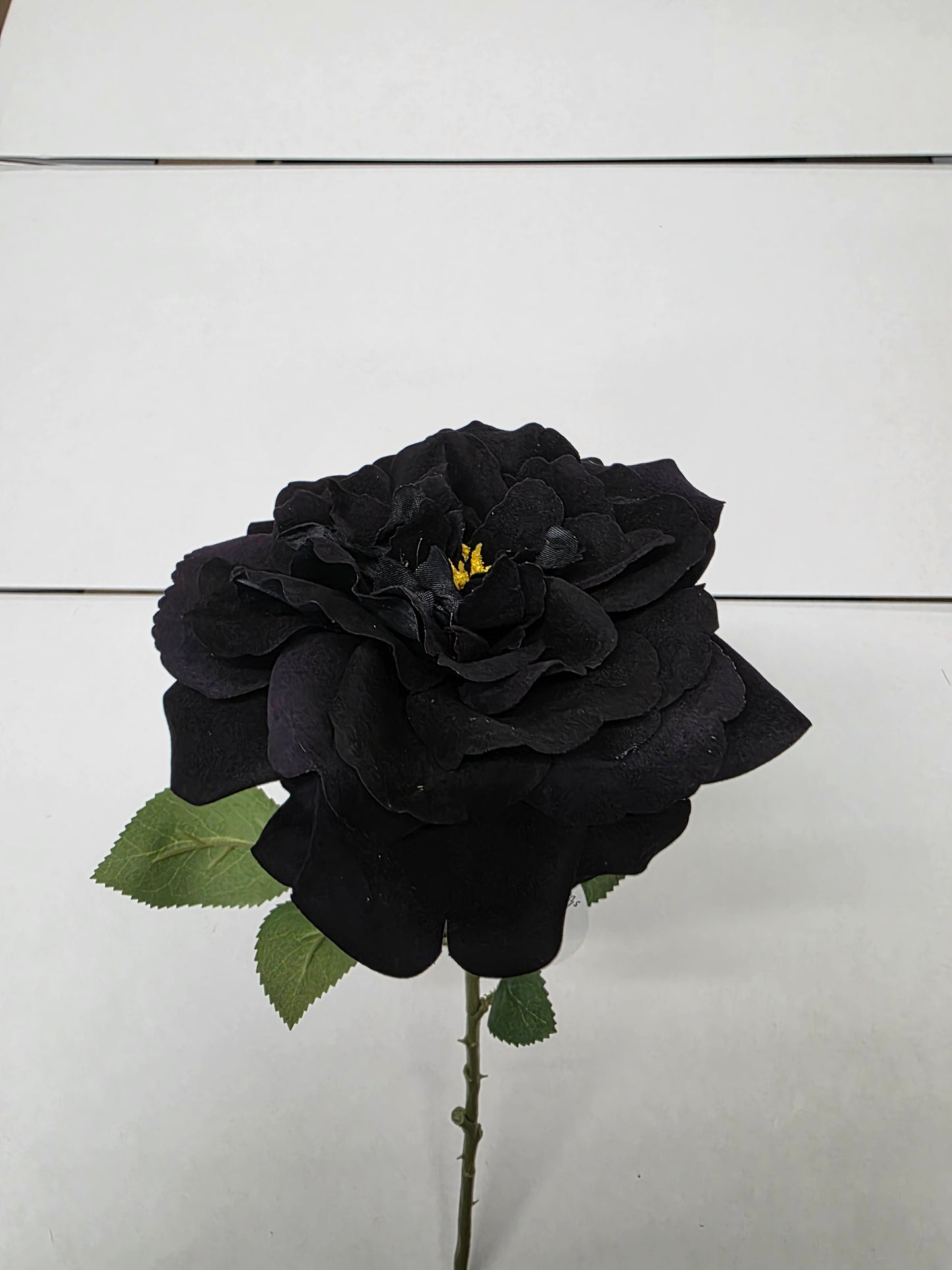 Artificial Rose Velvet Black 75cm (PACK OF 2)