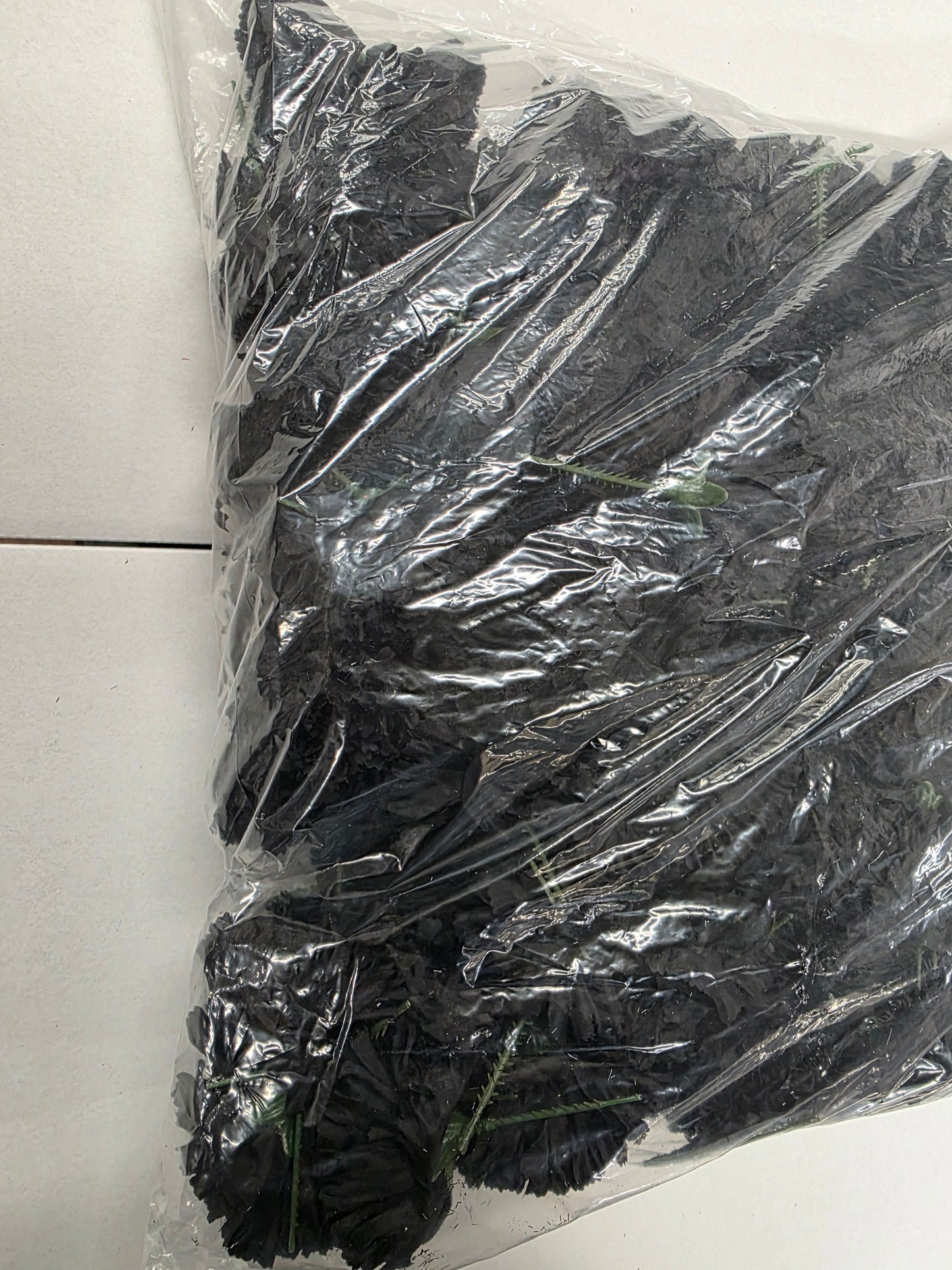 Artificial Carnation Pick Black X144