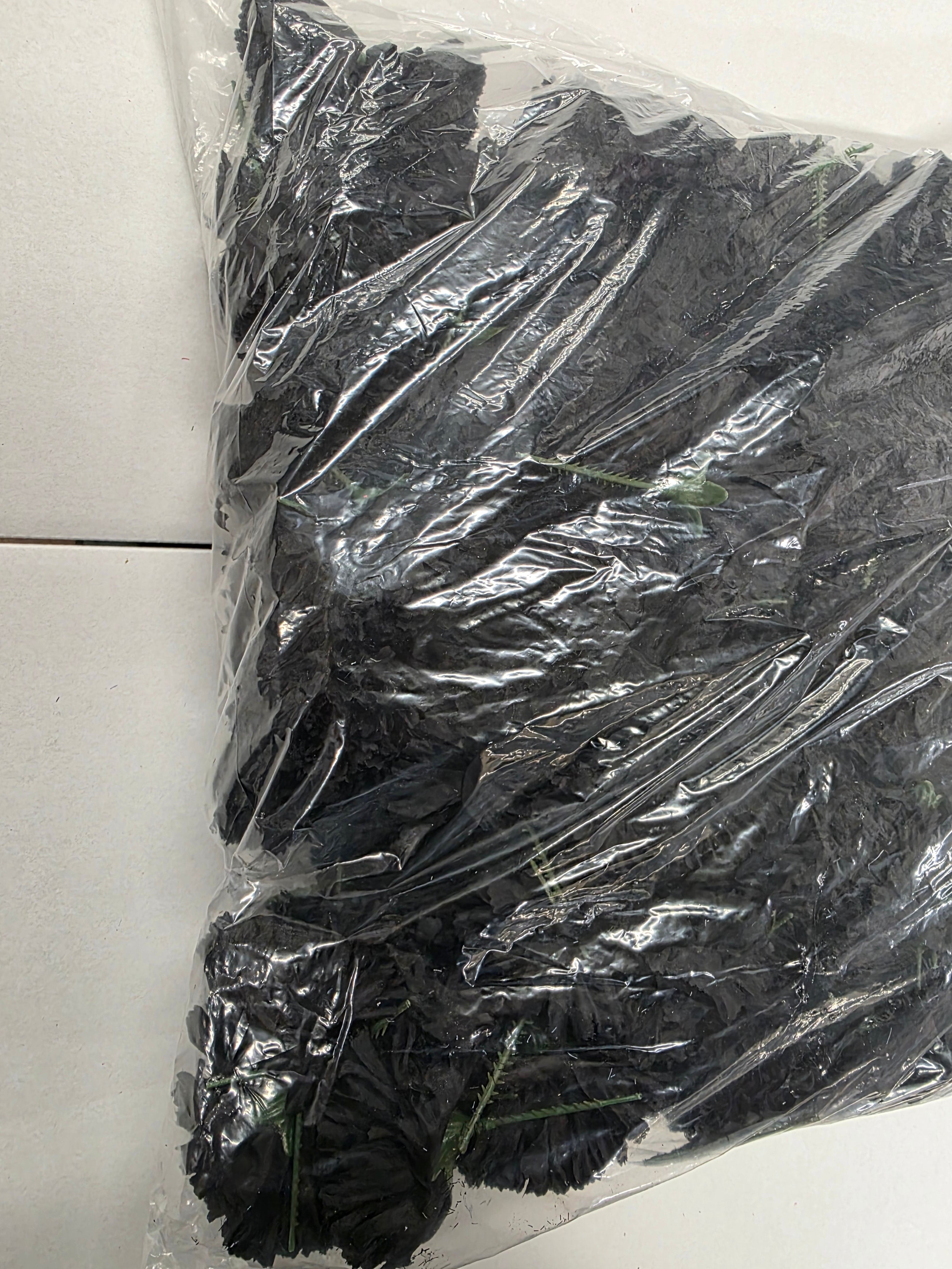 Artificial Carnation Pick Black X144