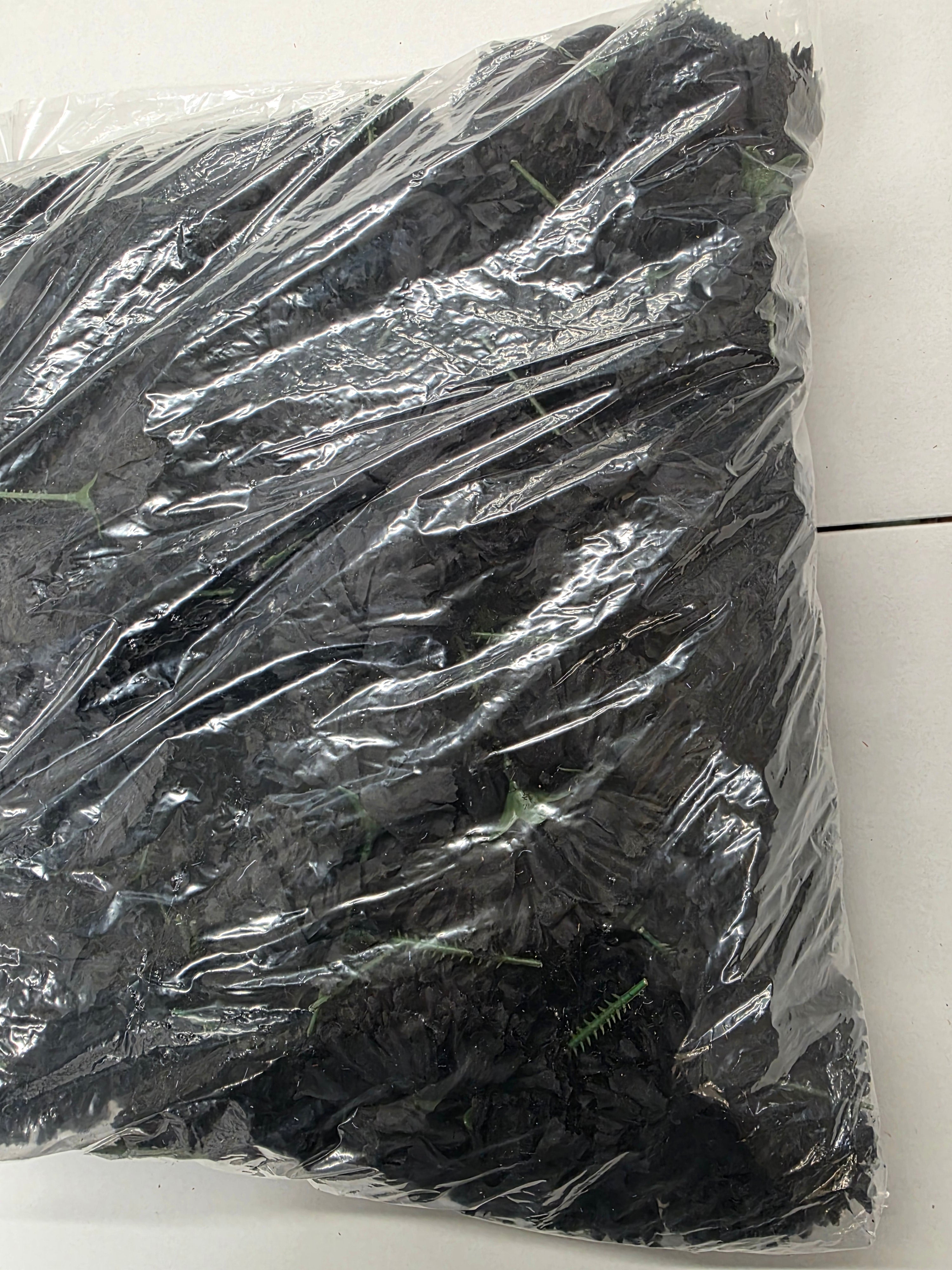 Artificial Carnation Pick Black X144