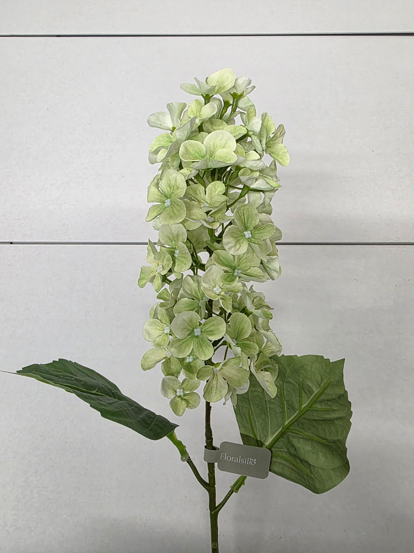 Artificial Paniculata Hydrangea Green 65cm (PACK OF 2)