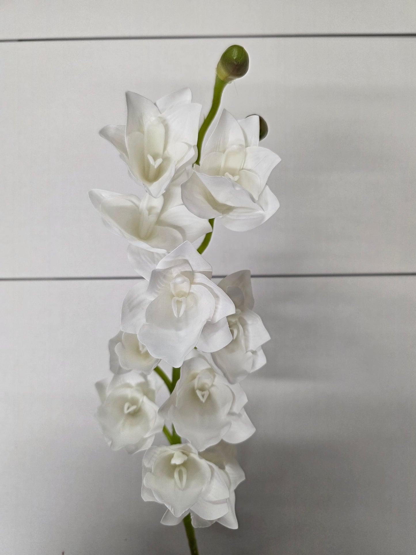 Artificial Orchid Cymbidium White