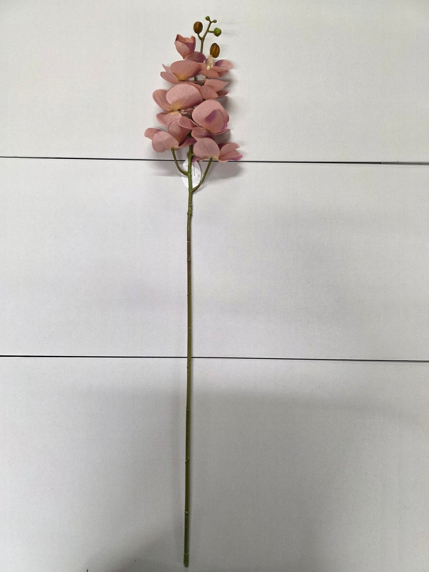 Artificial Orchid Phalaenopsis Bisque