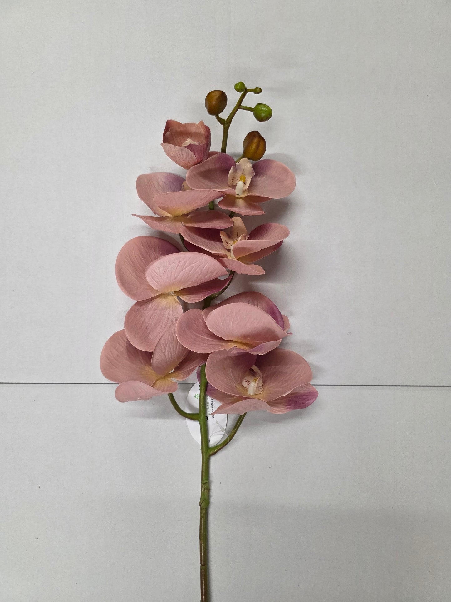 Artificial Orchid Phalaenopsis Bisque