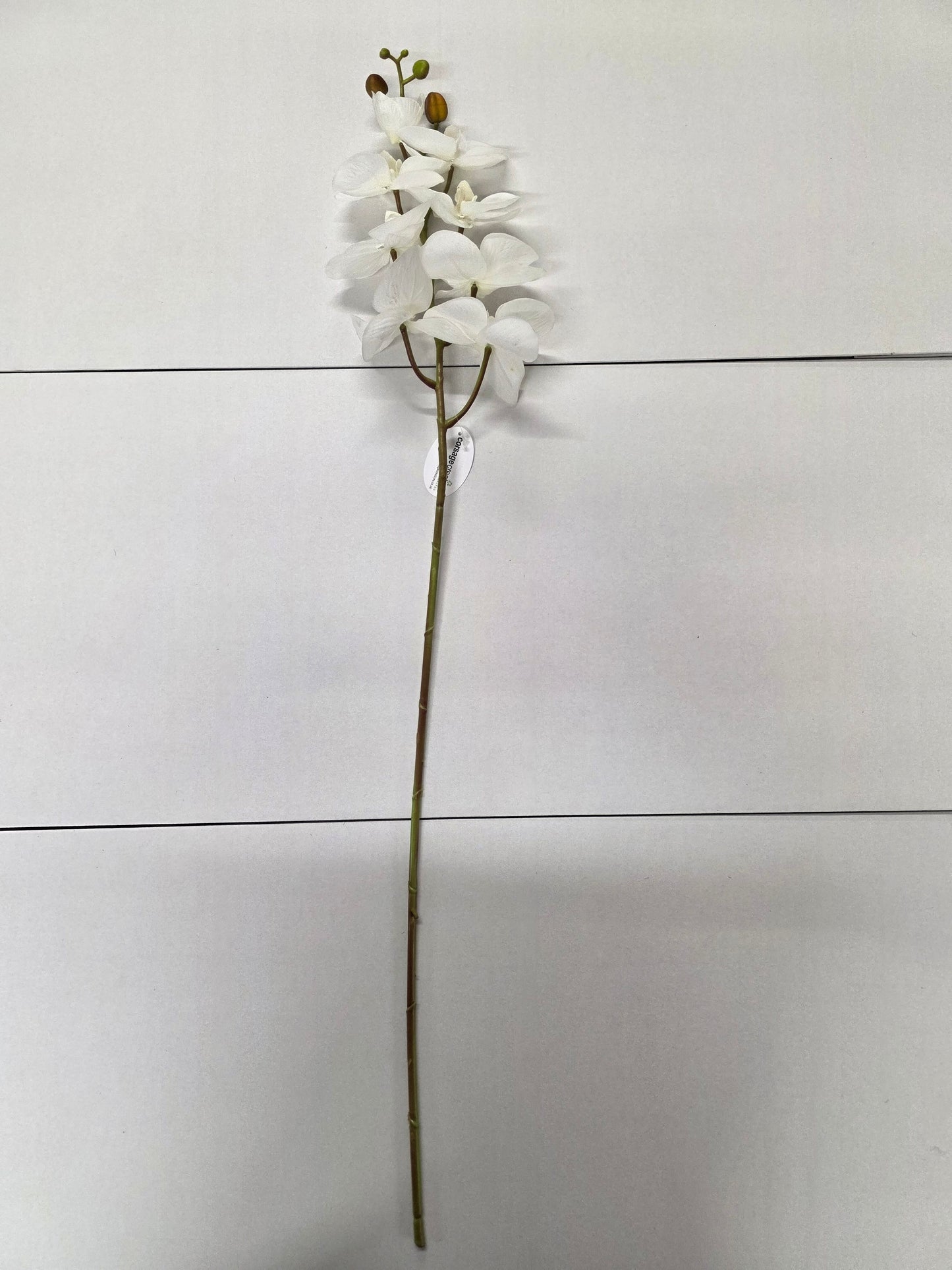 Artificial Orchid Phalaenopsis Cream